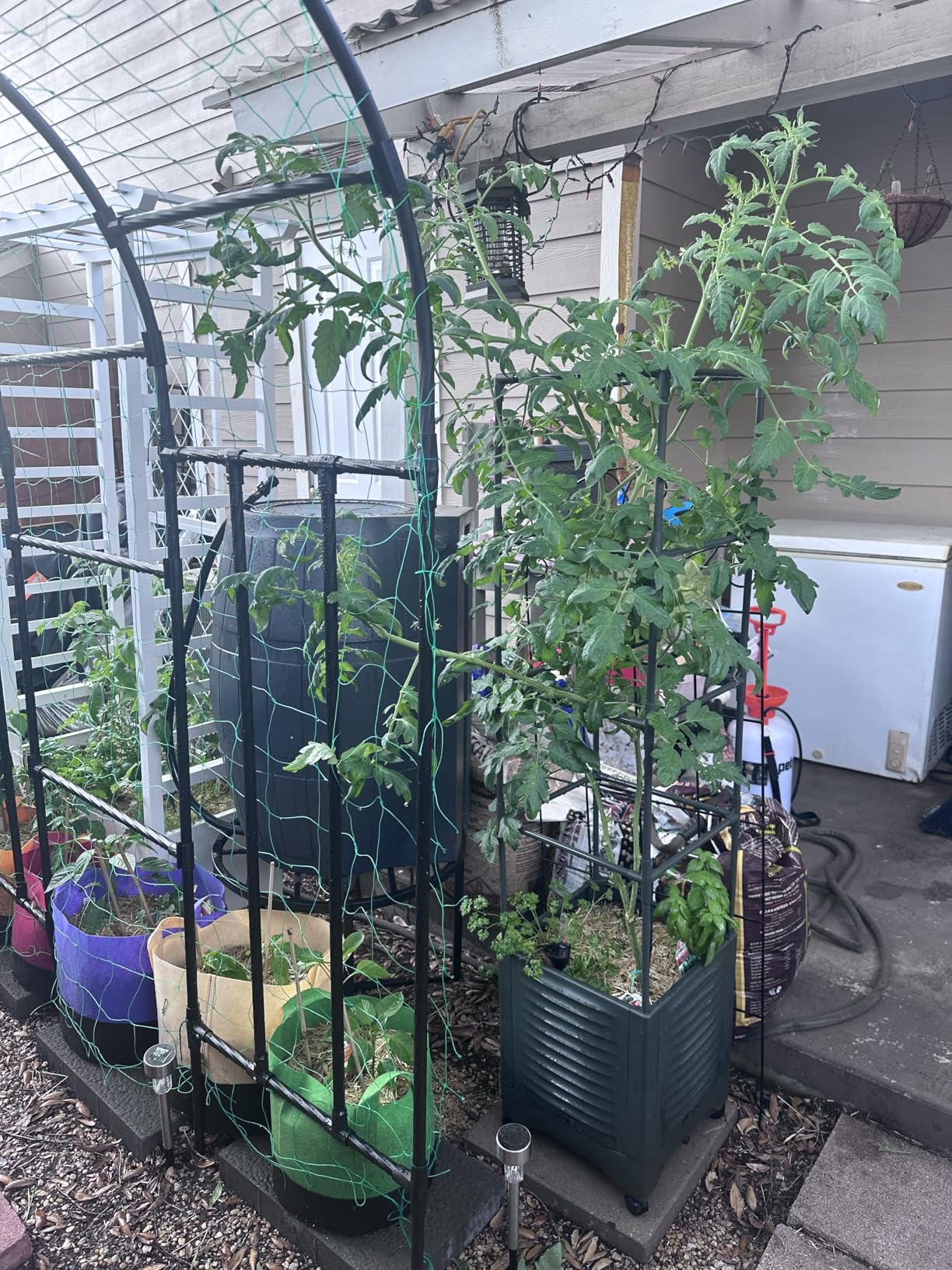 Tomato Planter Pot Tomato Box Raised Garden Bed 56.5