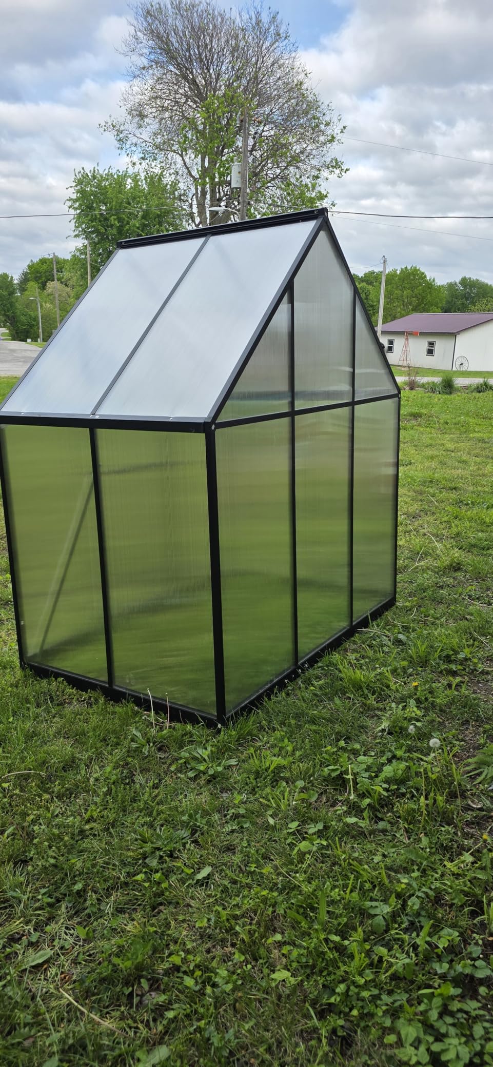 10X12FT Greenhouse for Outdoors with Electronic Thermometers, Green Houses for Outside Heavy Duty with Aluminum Frame Withstands Strong Wind or Snow, Large Walk-in Greenhouse for Backyard or Garden customer photo 2