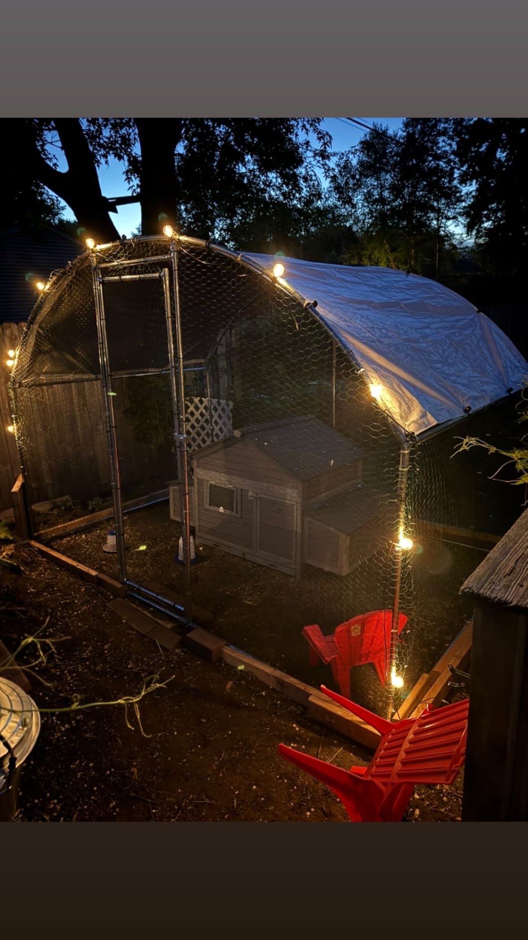 Larkvue 25FT Solar String Lights Outdoor with Remote, Waterproof Dimmable 3 Modes Patio Lights with 10+1 LED Shatterproof G40 Bulbs for Backyard-Black customer photo 1