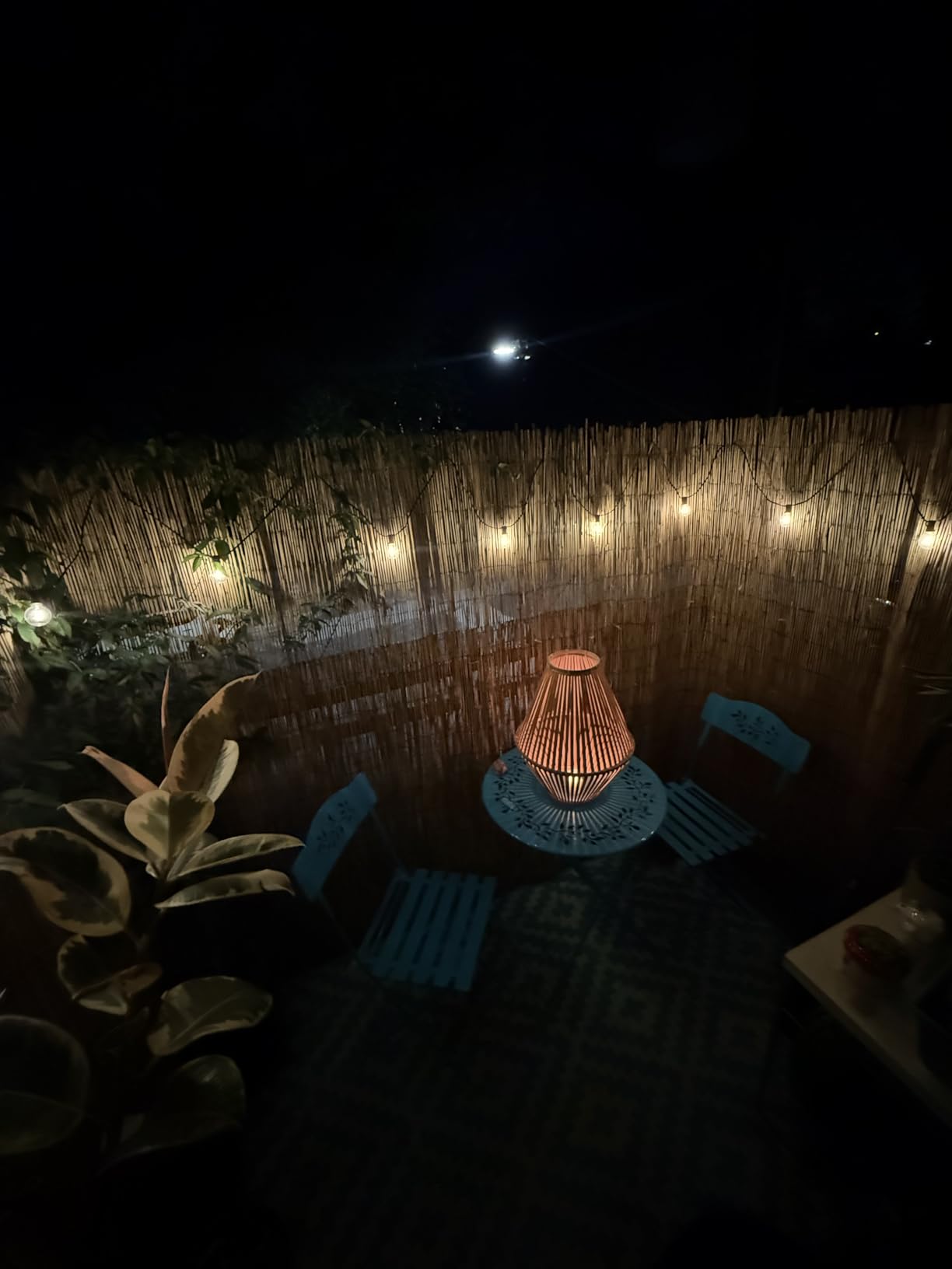 Larkvue 25FT Solar String Lights Outdoor with Remote, Waterproof Dimmable 3 Modes Patio Lights with 10+1 LED Shatterproof G40 Bulbs for Backyard-Black customer photo 2