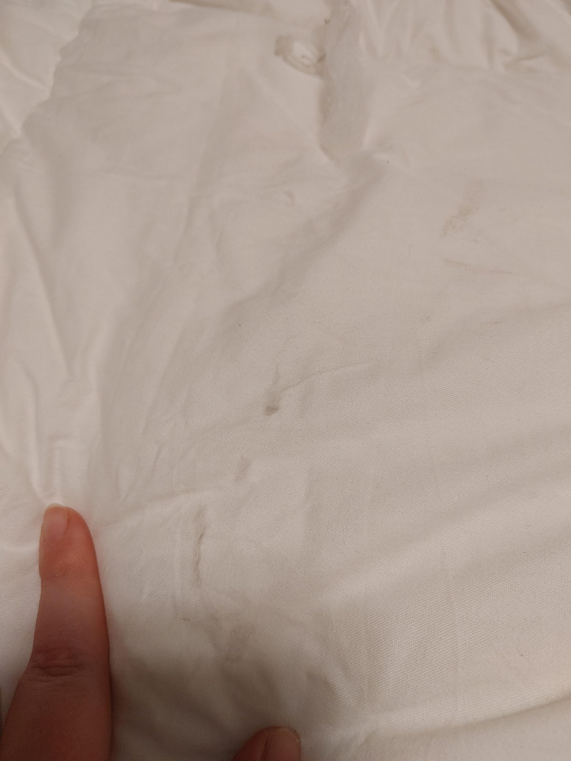 Cobnom Feather and Down Fibres Comforter Queen Size - 100% Organic Cotton, Quill-Free & Ethical, Luxury All Season Duvet Insert (White, 90x90 Inches) customer photo 2