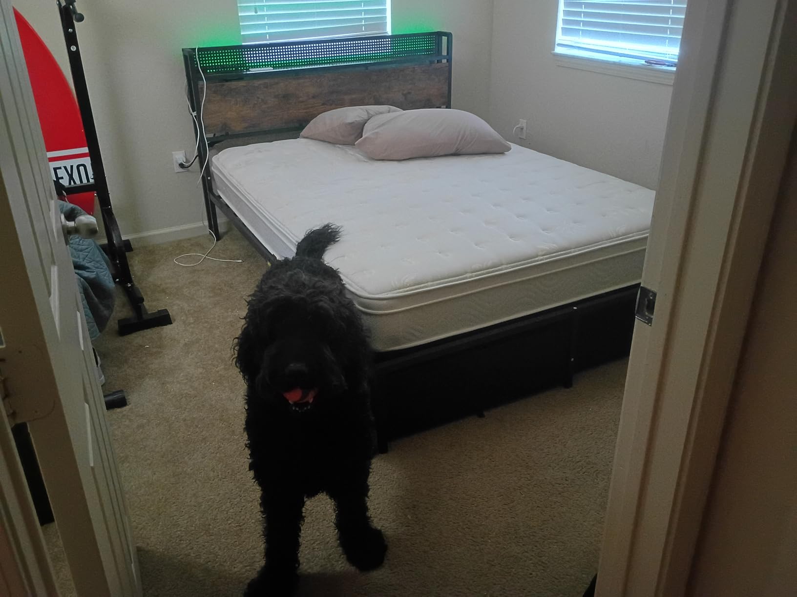Furnulem Queen Size Bed Frame with Headboard Storage, Platform Bed Frame Queen Size with 2 Drawers, Charging Station and LED Lights, No Box Spring Needed, Noise Free, Easy Assembly (1200 lbs Capacity) customer photo 1