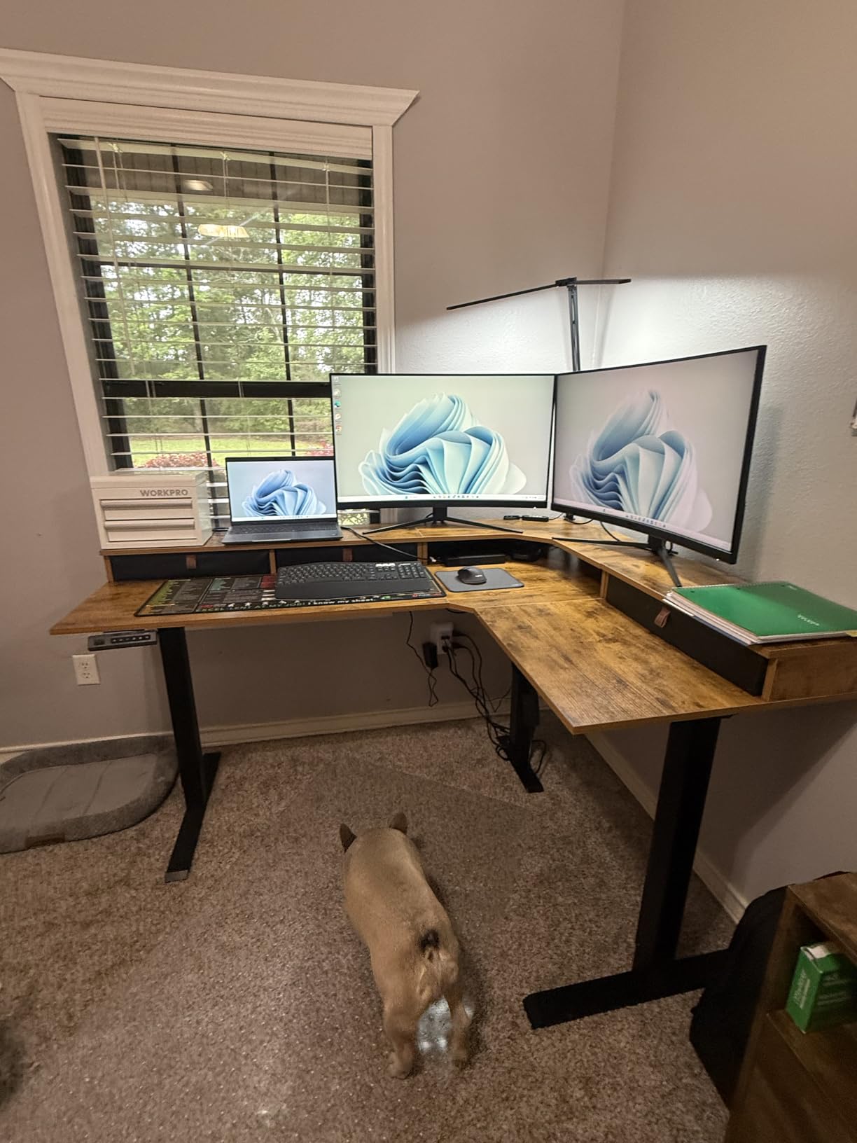 FEZIBO L Shaped Electric Standing Desk, 63x48 inch Large with Drawers | Reversible Tabletop, 2 Memory Height Settings | Home Office & Gaming Height-Adjustable Table, Black Walnut customer photo 1