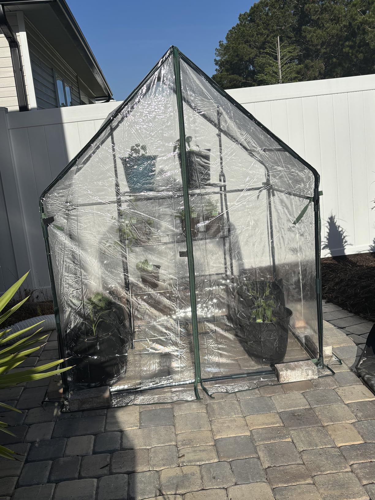 Gardzen Mini Greenhouse Indoor with Waterproof Bottom, Heavy Duty Portable Green House for Outdoor, Ideal for Seed Starting, Germination and Weather Protection, 36.2