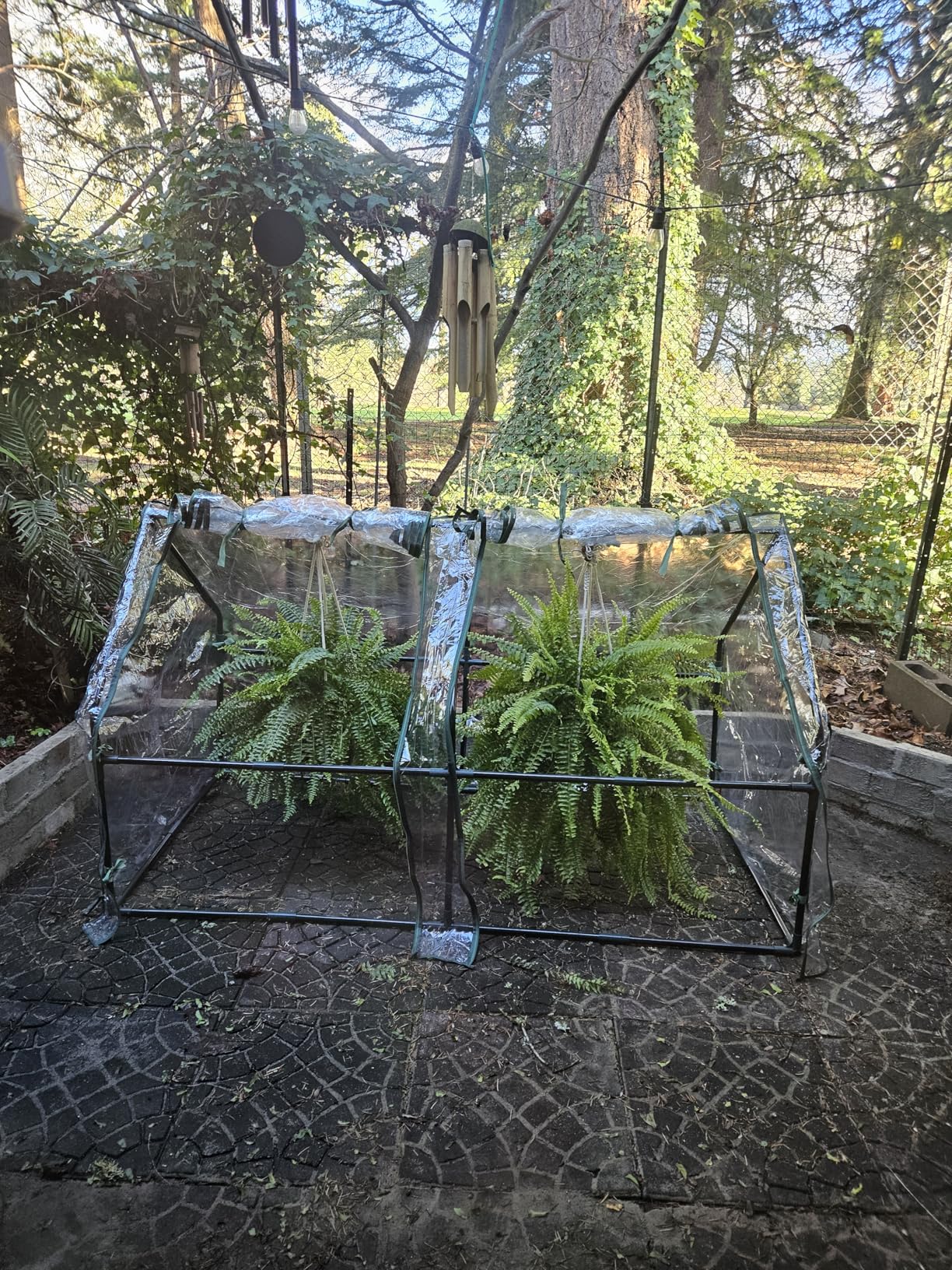 Gardzen Mini Greenhouse Indoor with Waterproof Bottom, Heavy Duty Portable Green House for Outdoor, Ideal for Seed Starting, Germination and Weather Protection, 36.2