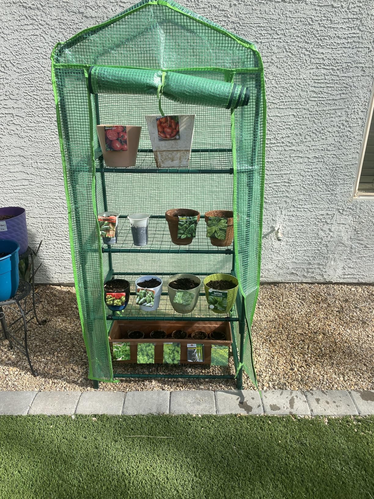 4 Tier Mini Greenhouse - Portable Indoor Outdoor Green House with 24lbs Per Shelf, Durable PE Cover & Tool-Free Assembly for Garden Balcony Patio Backyard customer photo 2