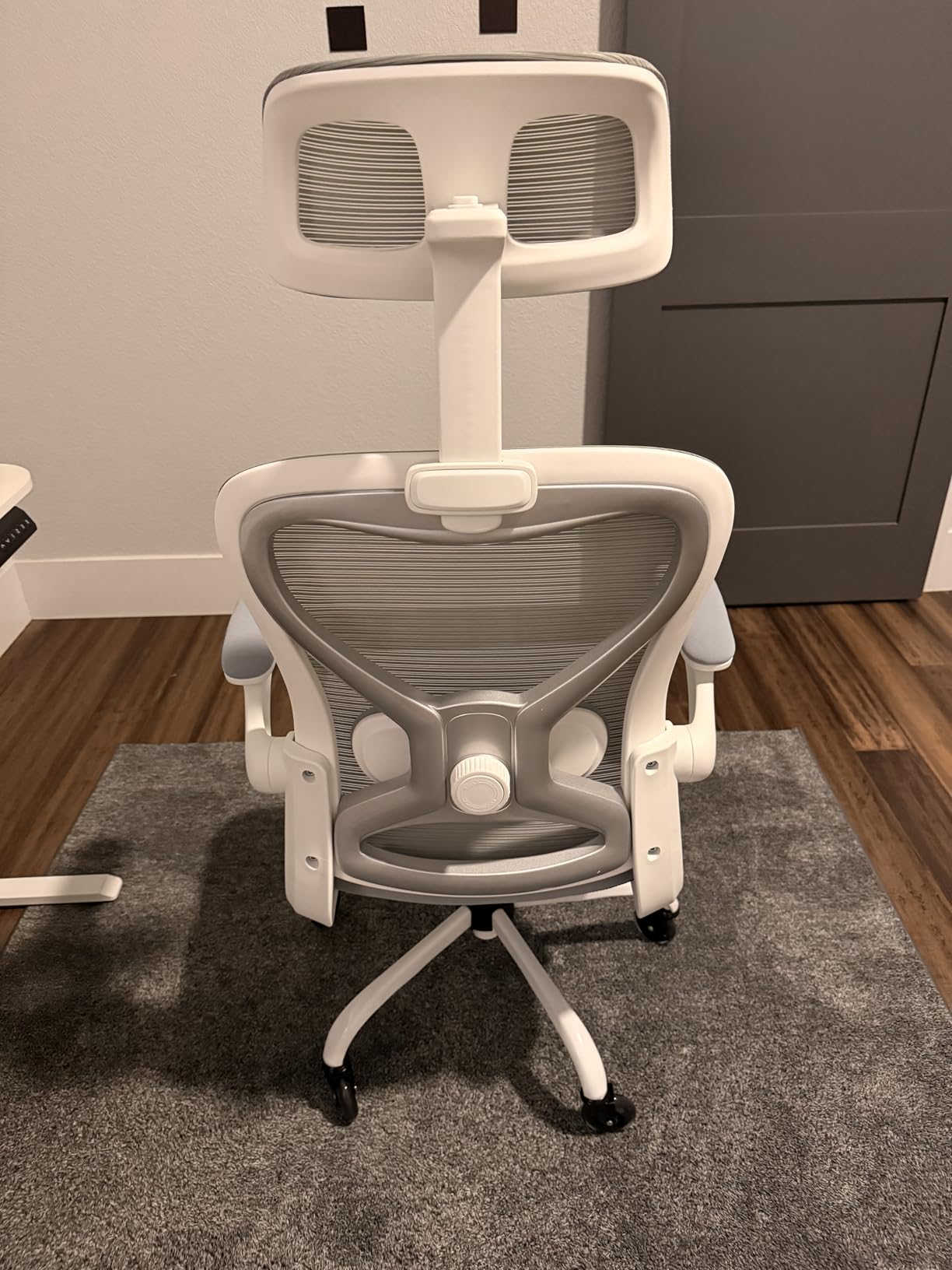 Ergonomic Office Chair for Back & Neck Pain Relief, Virgin Foam Seat, 2D Adjustable Lumbar & 3D Headrest, Tilt & Rock for Relaxation, Ideal for Long Sitting Comfort, Gray/Silver customer photo 1