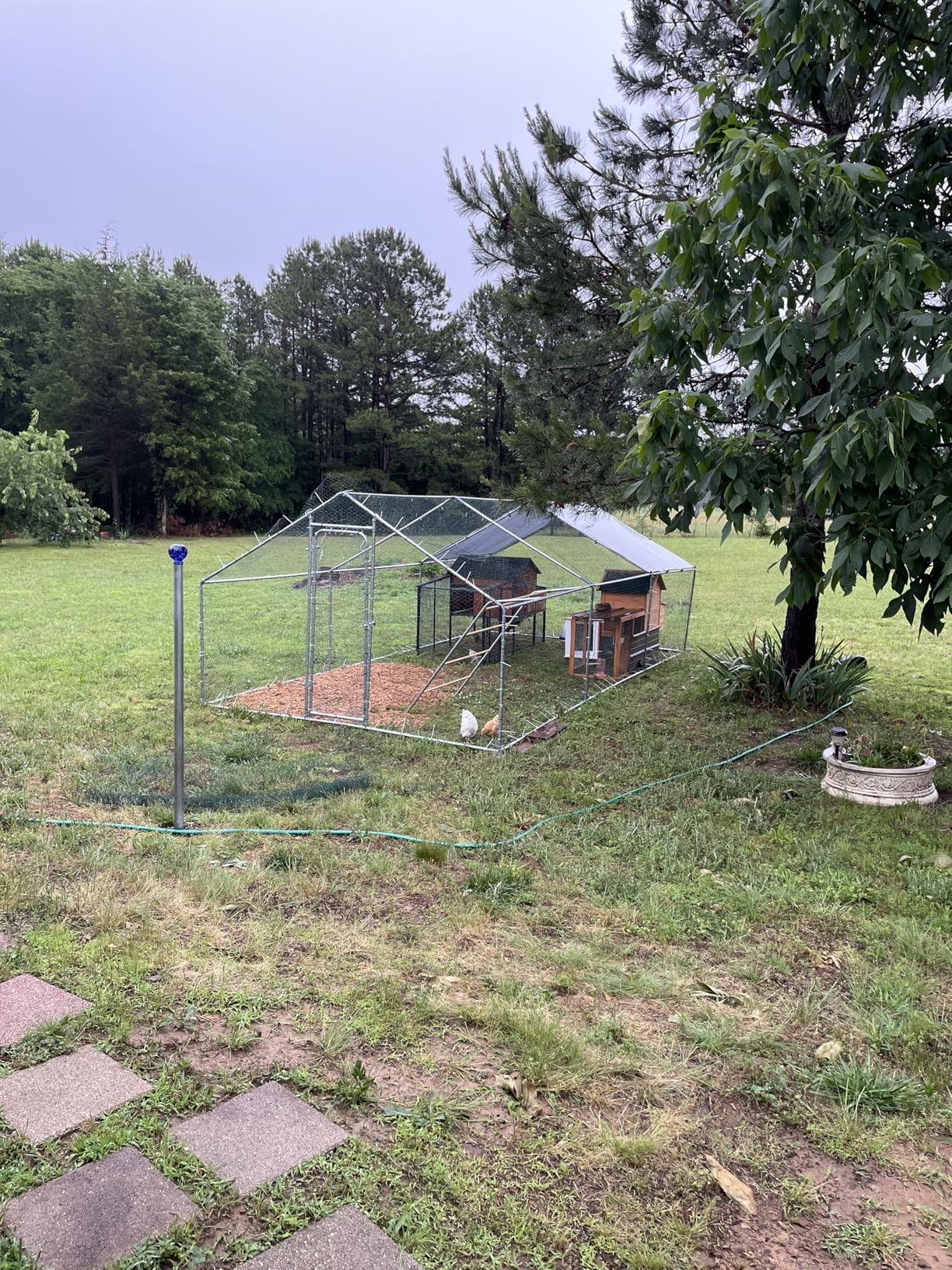 Large Metal Chicken Coop with Run for Yard with Waterproof & Anti-UV Cover, 19.7 x 10 x 6.4ft Outdoor Walk-in Poultry Cage Chicken Run Pen with Roosting Perch, Hen Duck Rabbit House customer photo 2
