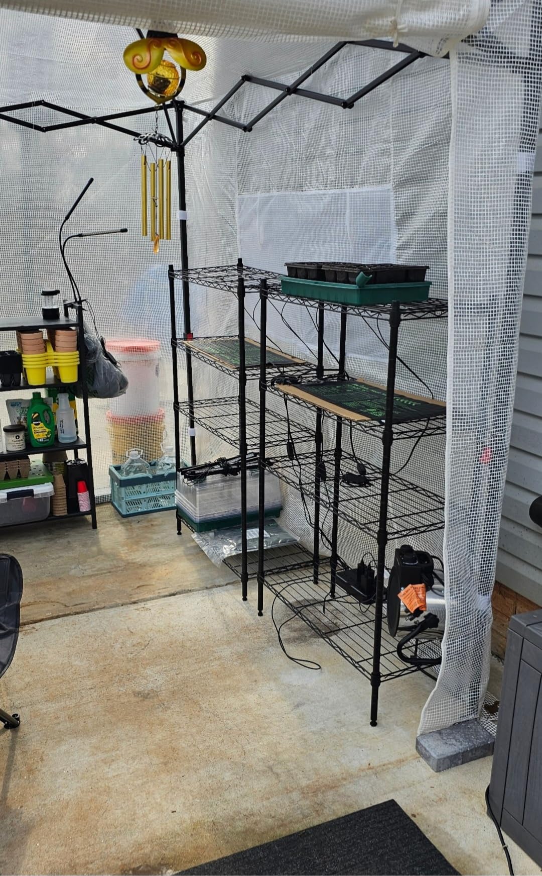 Devoko Walk-in Greenhouse, Instant Pop Up Green House for Outdoors with Zippered Door and 2 Roll-up Windows, PE Cover, Portable and Easy Assemble (Green, 8x6 Feet) customer photo 2