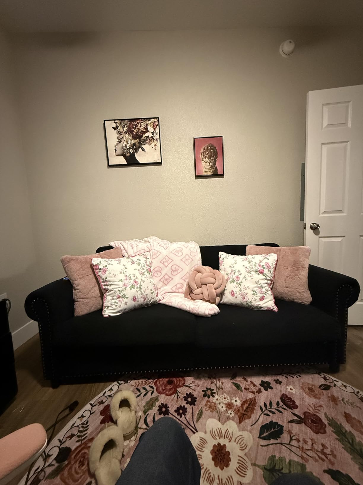 Queen Pull Out Sofa Bed | 83