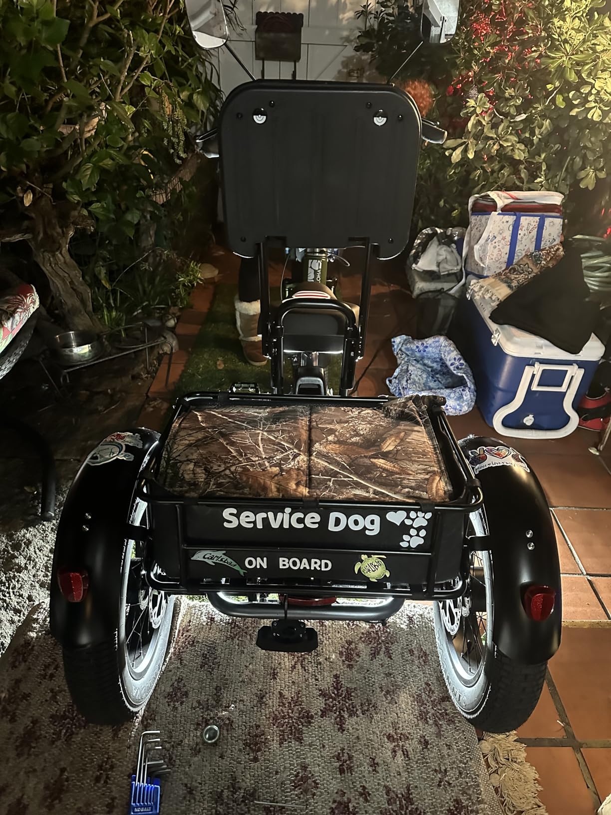Folding Electric Tricycle for Adults 2 Seater, 20MPH 100 Miles 4