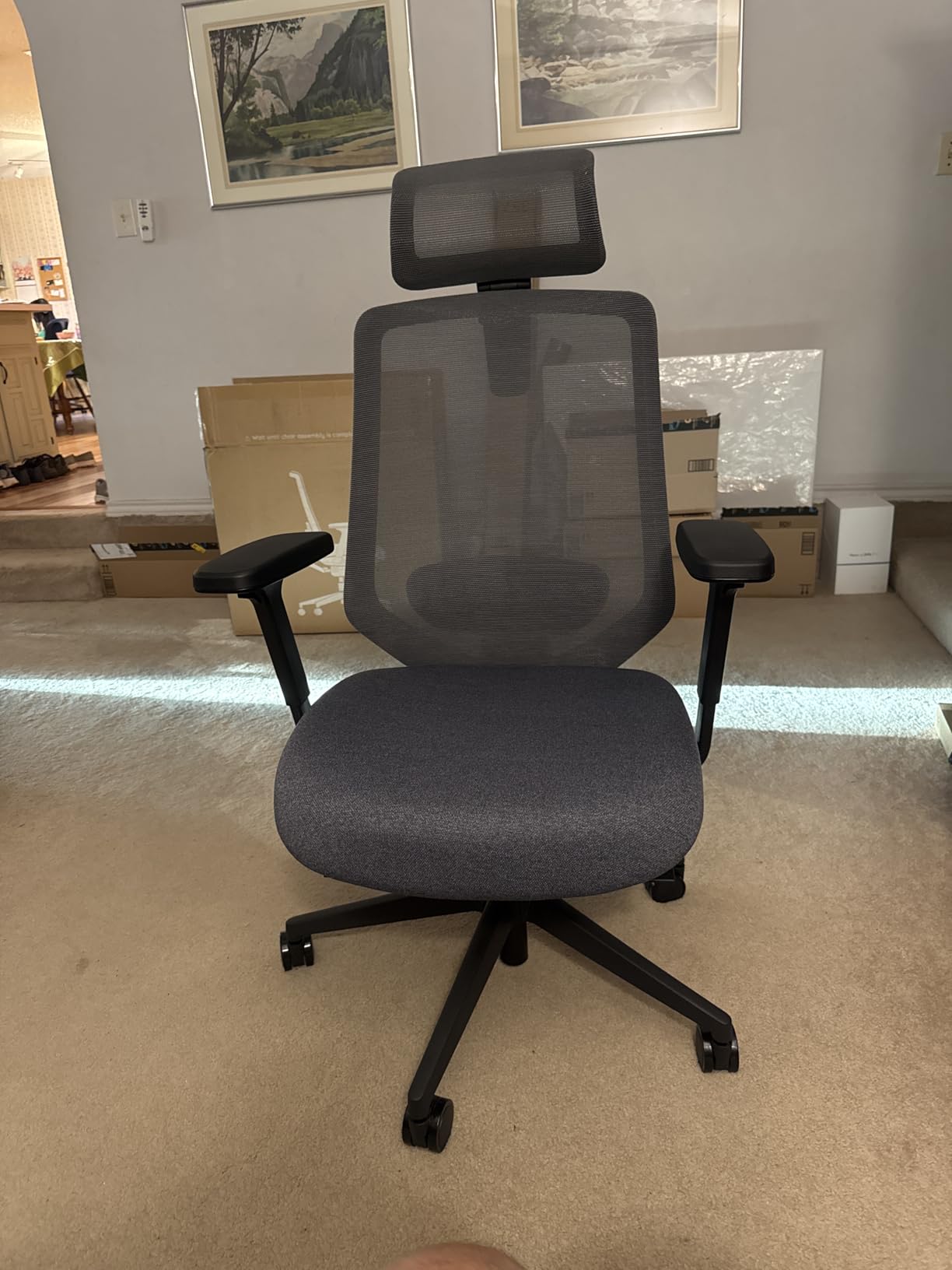 Branch Ergonomic Chair Pro - Mesh Office Chair with 14 Points of Adjustment - Height, Depth & Tilt Adjustable - 5D Armrests - Forward Tilt, Smooth Recline, and Lumbar Support - Spark customer photo 1