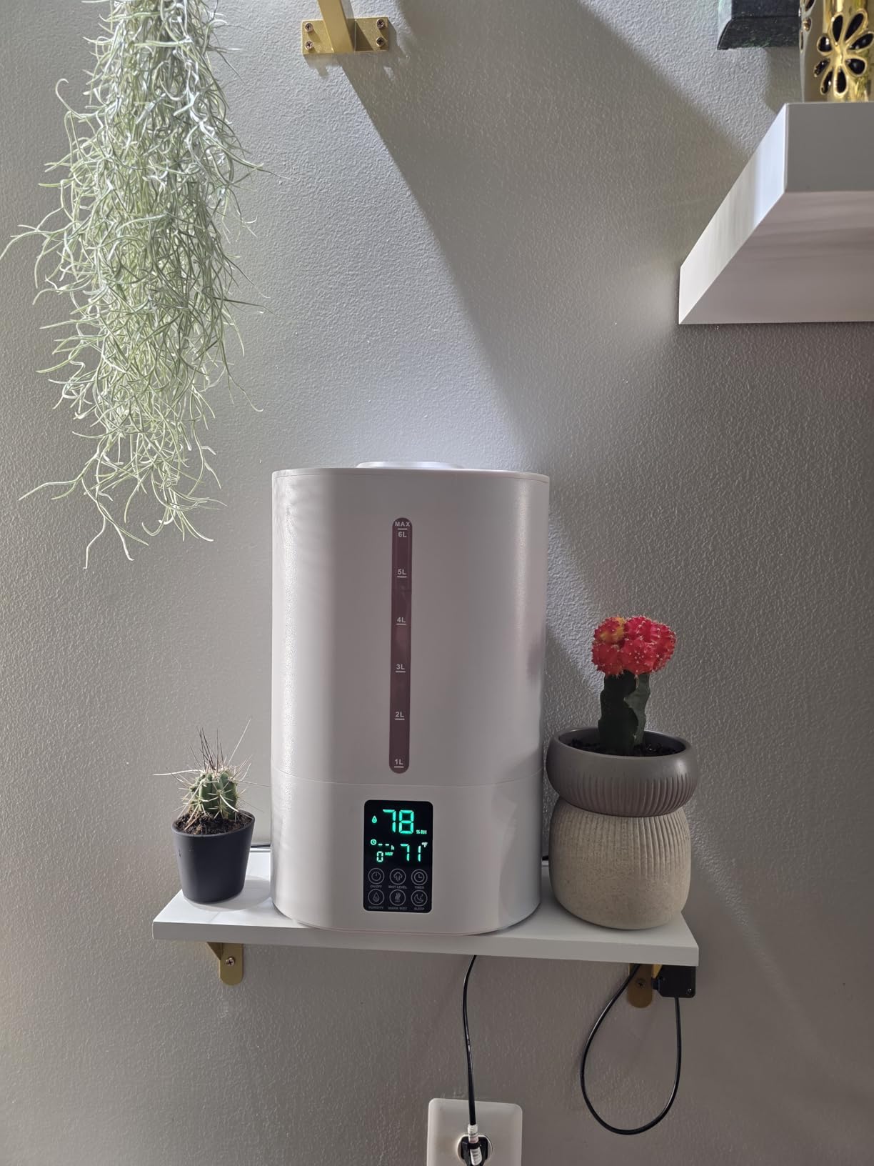 Coolfiqu 6L Humidifiers for Bedroom Large Room Home, Cool and Warm Humidifier for Baby and Plants Hot Mist Top Fill Desk Humidifiers Oil Diffuser, Quiet, Adjustable Mist, 360°Nozzle-Black (2026 Upgraded) customer photo 2