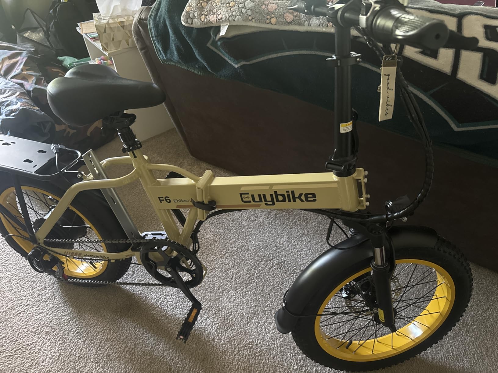 bluebiko 1000W Folding Electric Bike, 48V 20AH Large Removable Battery E Bike, 80 Miles Max Range, 20