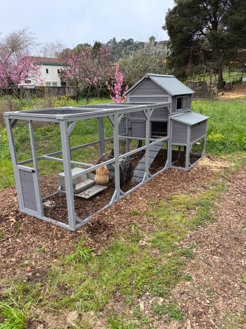 Large Chicken Coop with Run, Mobile Chicken House with Wheels and All-Around Iron Frame, Chicken Tractor Poultry Cage for 6-8 Chickens, Nesting Box, Metal Pull-Out Tray customer photo 1