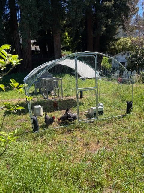 Large Chicken Coop with Run, Mobile Chicken House with Wheels and All-Around Iron Frame, Chicken Tractor Poultry Cage for 6-8 Chickens, Nesting Box, Metal Pull-Out Tray customer photo 2