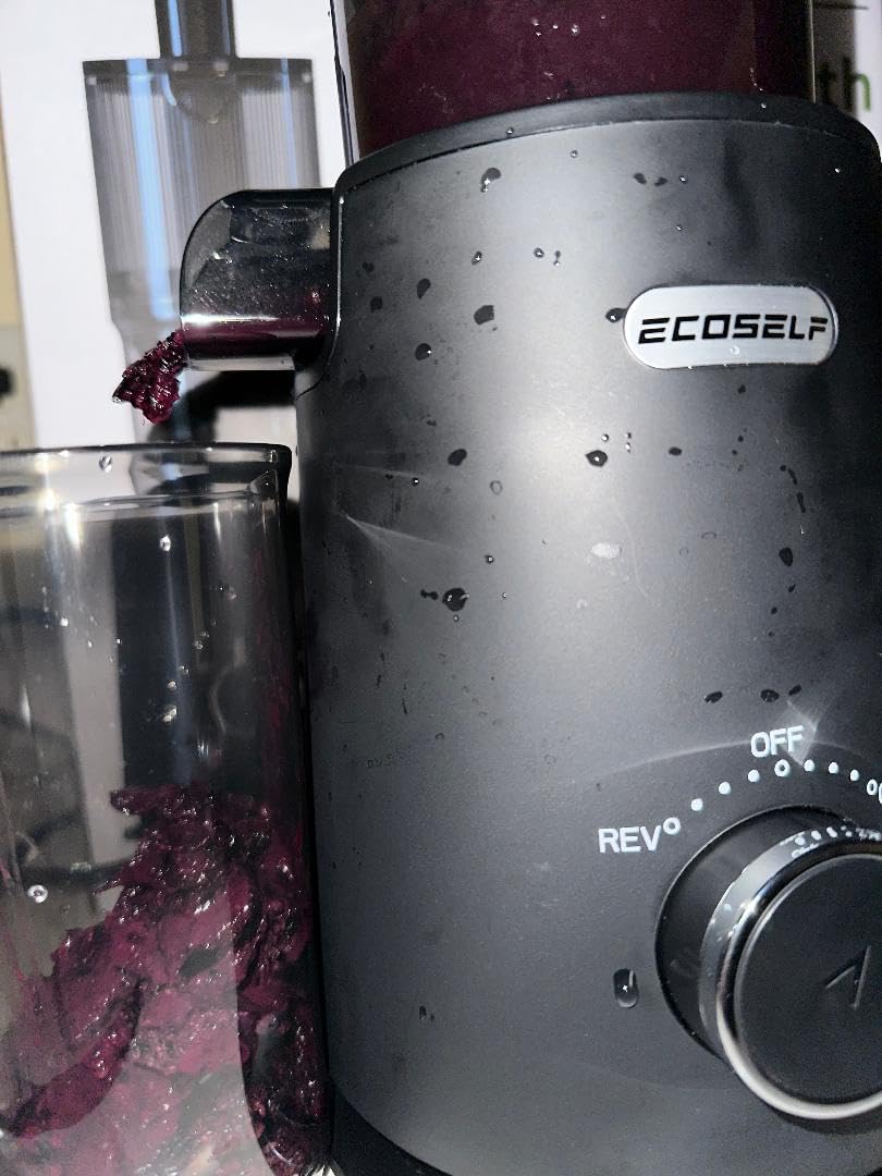 ECOSELF Cold Press Juicer - Wide Mouth Hopper for Fruits & Vegetables & Leafy Greens - Self Feeding Hands-Free Design - Easy to Clean with Brush customer photo 2