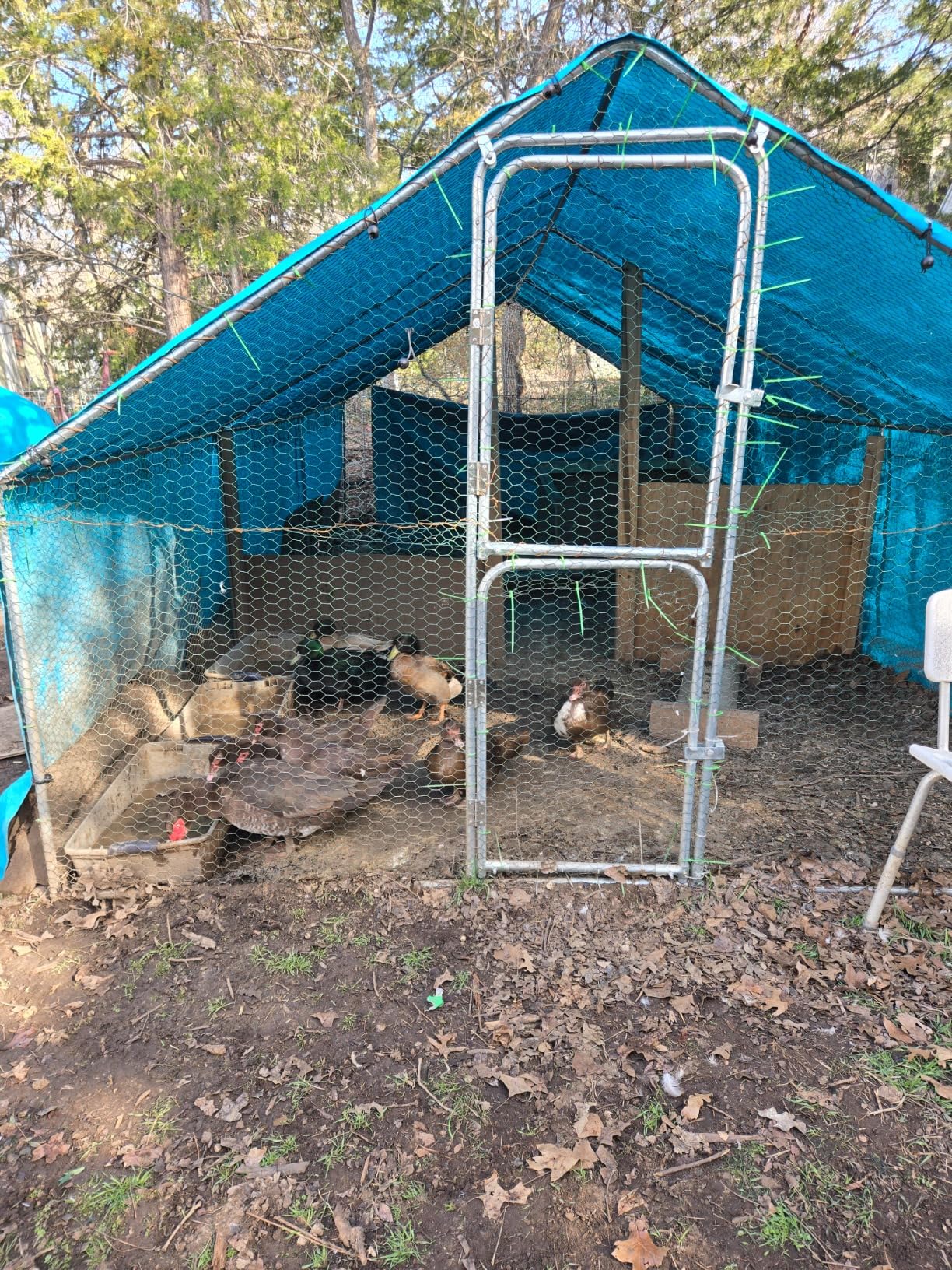 UDPATIO Large Metal Chicken Coop Walk in - Heavy Duty Outdoor Poultry Run with Protective Cover for 10-15 Chickens, Ducks, or Rabbits | Predator-Proof & Weather-Resistant customer photo 2