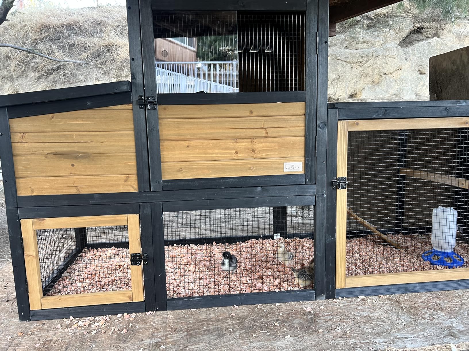 PETSFIT Wooden Chicken Coop for 2-4 Chickens, Backyard Coop with Run, 2 Nesting Boxes and 2 Roost Bars, PVC Windows, Easy-Clean 3-Door Access, Weather-Resistant PVC Roof, 6 Ground Stakes customer photo 1