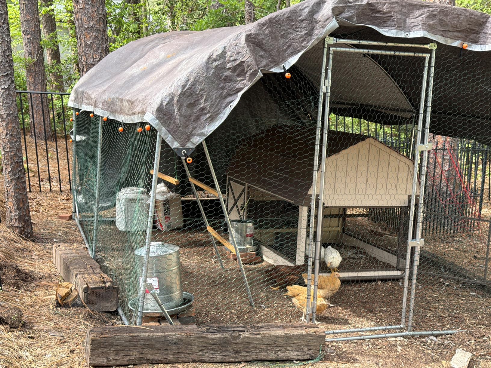 Quictent Essential Series 18x9x6.6ft Metal Chicken Coop Run with Climbing Ladder, Walk-in Outdoor Poultry Cage with PVC Coated Chicken Wire, Hen Duck Rabbit Farm House, Waterproof Anti-UV Cover customer photo 1
