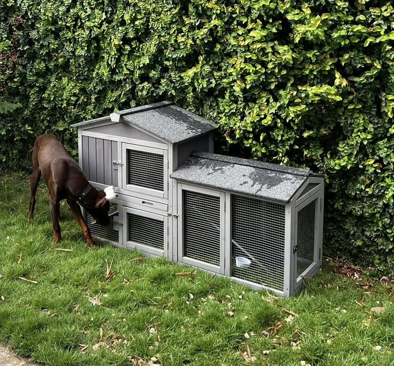 Aivituvin Large Chicken Coop with Wheels, Outdoor Hen House Mobile Poultry Cage with Run, Weatherproof Asphalt Roof, Sectionable Nesting Box, Leakproof Pull-Out Tray for 4-6 Chickens - Grey customer photo 2
