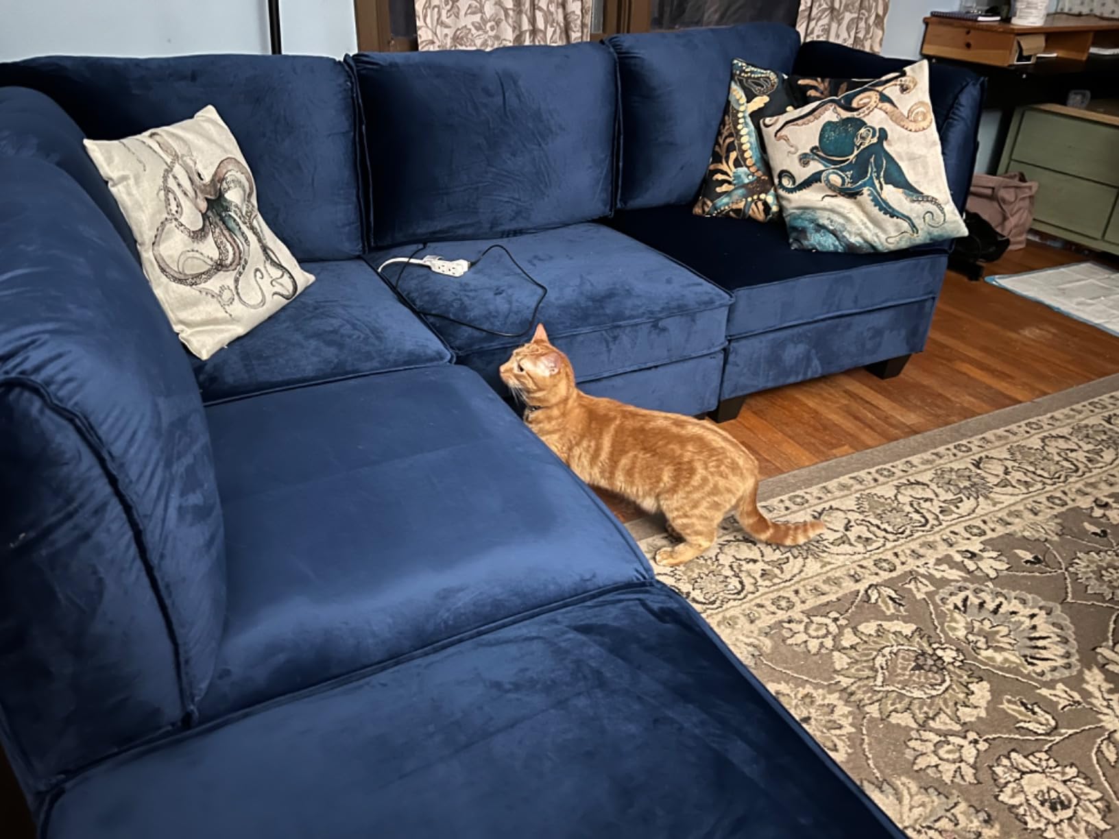 Vongrasig Sleeper Sofa with Storage for Small Space, Convertible Small Pull Out Couch with Storage Chaise, L Shaped Sectional Sofa Bed for Apartment, Guest Room, Dark Grey Corduroy customer photo 2