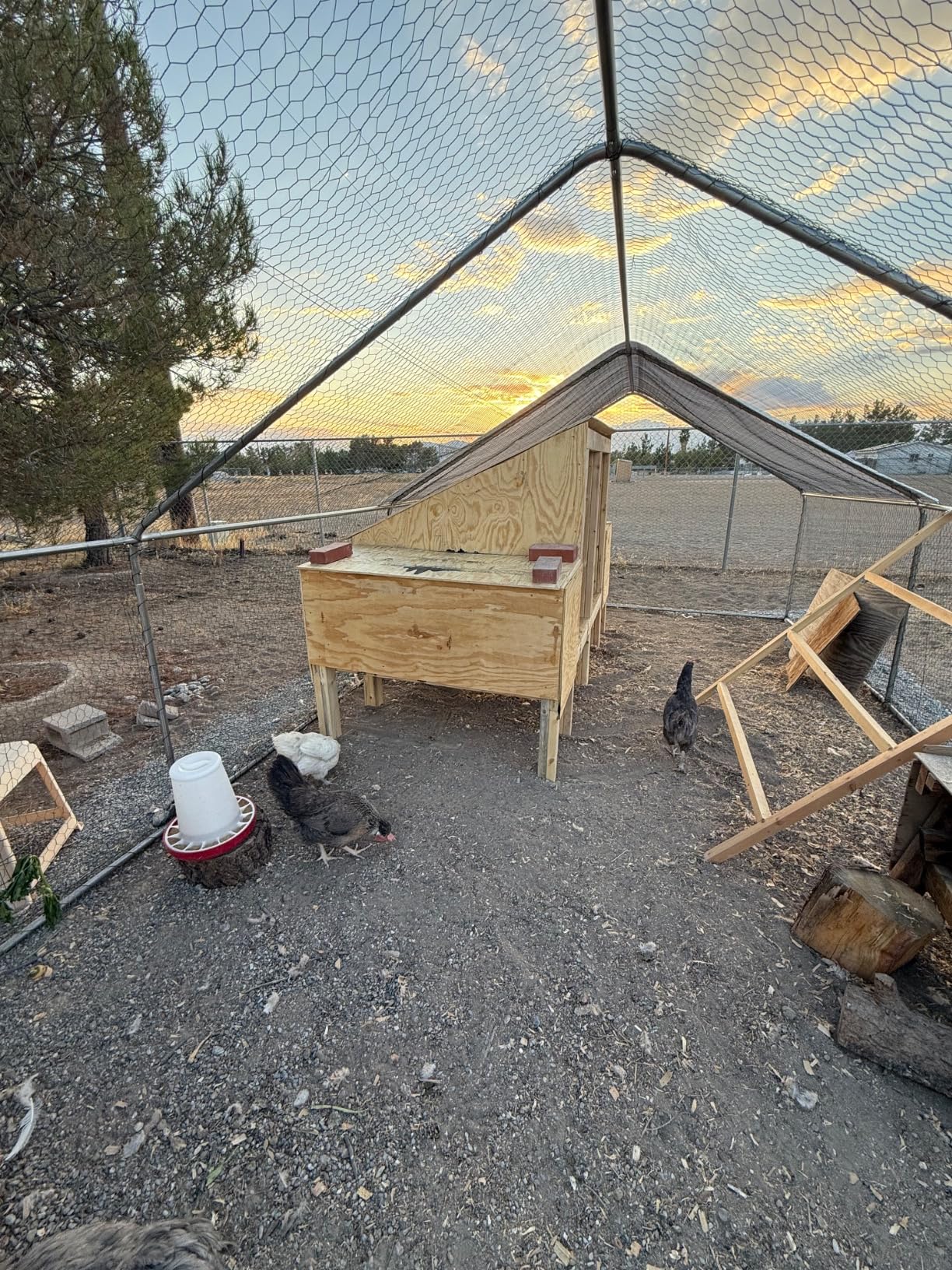 Large Metal Walk-in Chicken Coop with Run & Hardware Cloth, Predator-Proof Outdoor Poultry Cage with Solar Light, Waterproof & UV-Resistant Cover for Backyard Farm customer photo 1