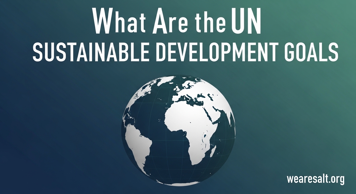 What Are the UN Sustainable Development Goals