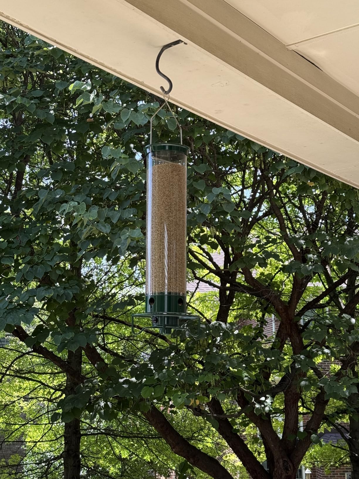 Droll Yankees Squirrel Proof Bird Feeder for Outdoors - Rechargeable Weight-Activated Rotating Perch, 5lb Seed Capacity, Metal Base, UV-Stabilized Seed Tube, Hanging Green Yankee Flipper, YF-M customer photo 1