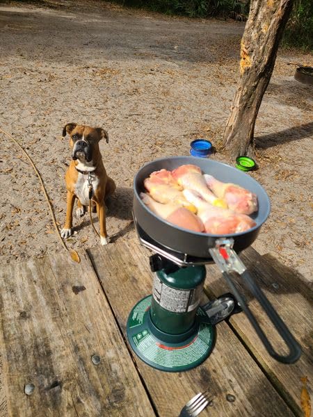 Coleman BottleTop Propane Stove with Adjustable Burner, Portable Camping/Backpacking Cooker customer photo 2