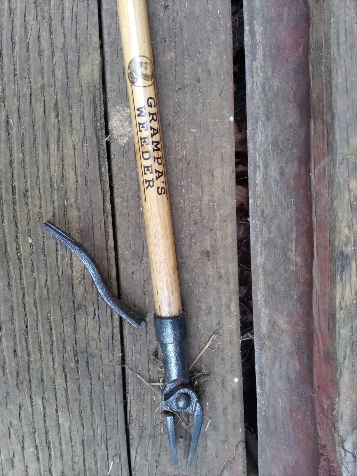 Grampa's Weeder - The Original Stand Up Weed Puller Tool with Long Handle - Made with Real Bamboo & 4-Claw Steel Head Design - Easily Remove Weeds Without Bending, Pulling, or Kneeling. customer photo 1