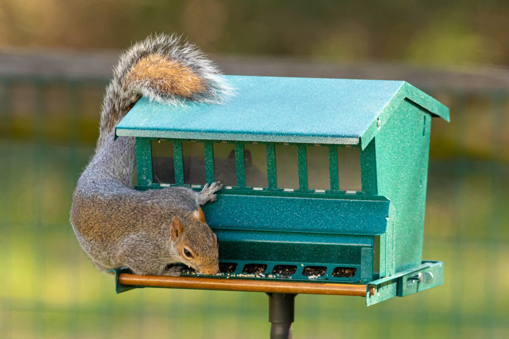 Heritage Farms Woodlink Absolute Squirrel Resistant Bird Feeder, Model 23803, beige customer photo 2