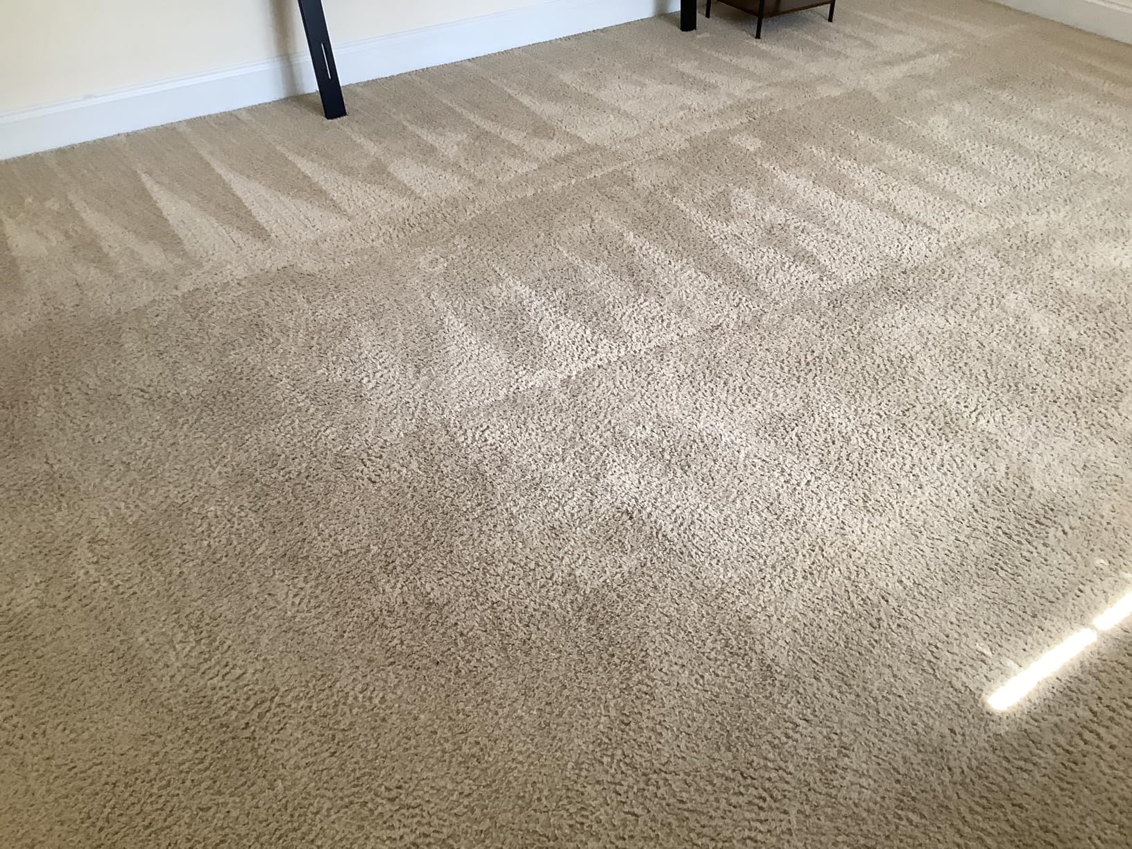 Nature's Miracle Carpet Shampoo, Bio-Enzymatic Deep-Cleaning Pet Stain And Odor Remover, 64 oz customer photo 1