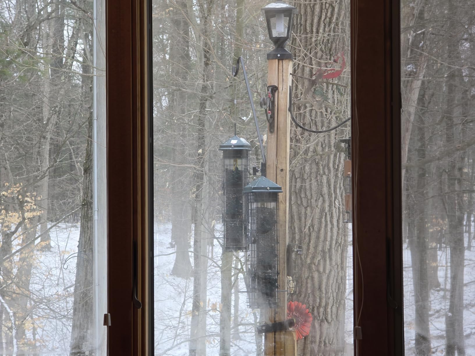 Squirrel Solution200 Squirrel-proof Bird Feeder w/6 Feeding Ports, 3.4-pound Seed Capacity, Free Seed Funnel customer photo 2