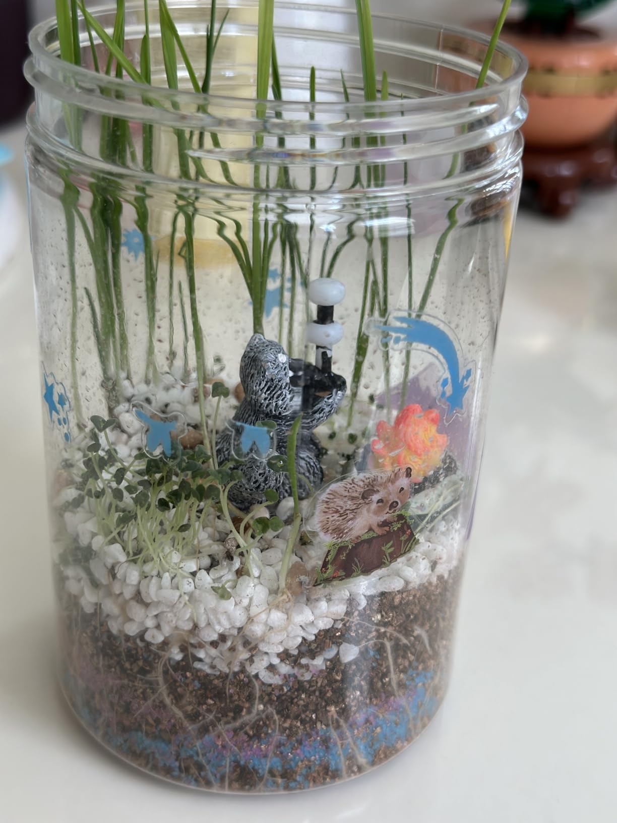 Creativity for Kids Grow 'N Glow Terrarium Kit - Educational Science Kits| Spring Crafts for Kids Gifts for Boys and Girls | Craft and STEM Projects (Ages 6+) customer photo 2