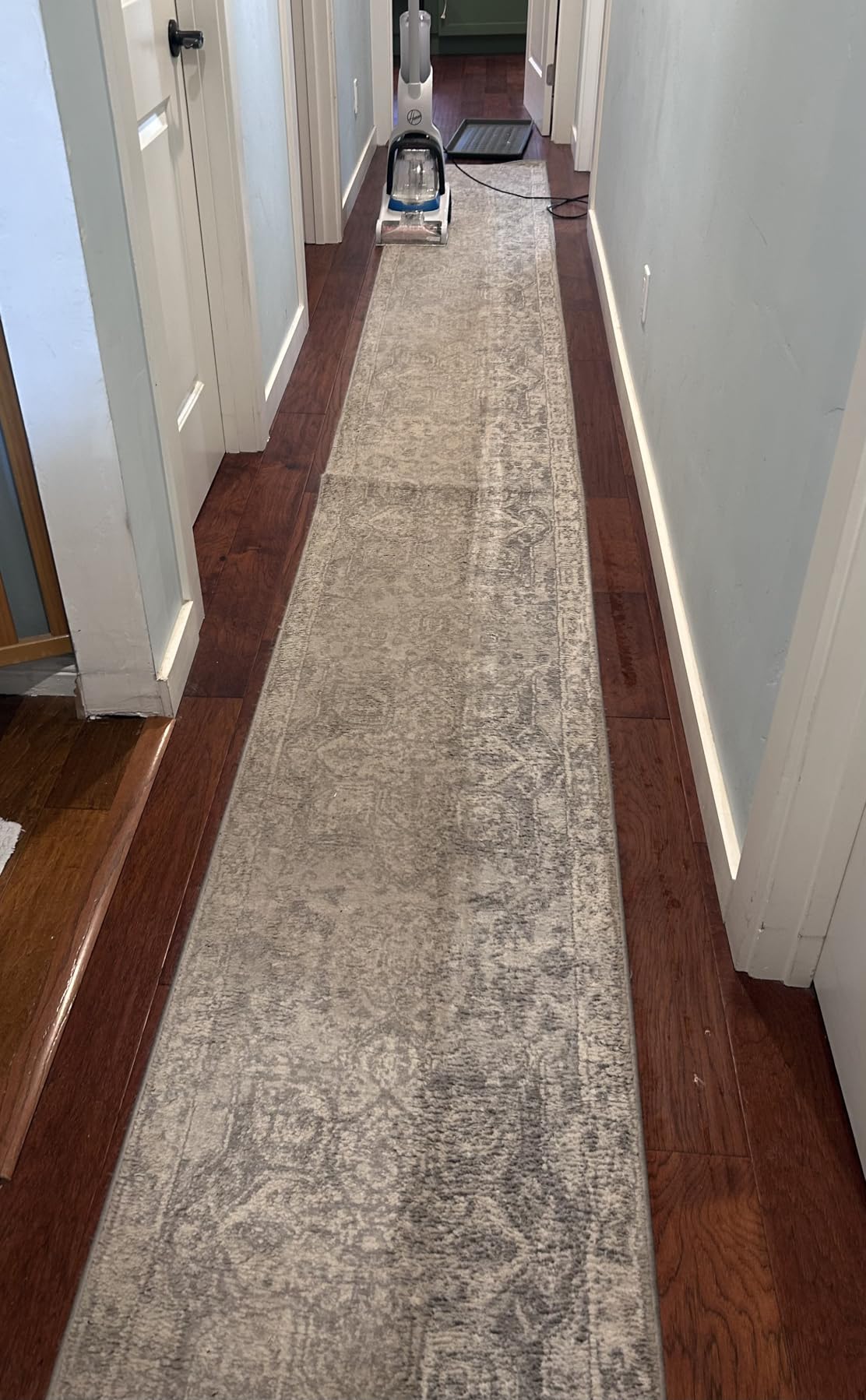 Hoover PowerDash Pet Compact Carpet Cleaner Machine, Lightweight Design, HeatForce Fast Drying, Antimicrobial Brush Roll, Pair with a Hoover Carpet Cleaner Solution customer photo 2