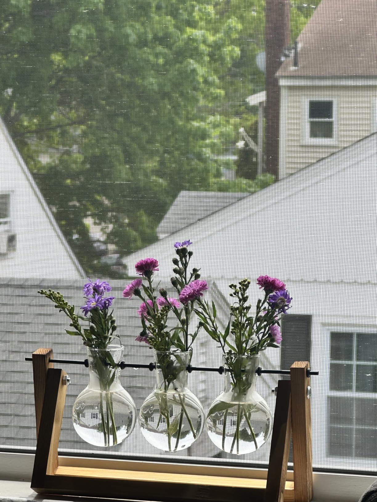 XXXFLOWER Plant Terrarium with Wooden Stand, Air Planter Bulb Glass Vase Metal Swivel Holder Retro Tabletop for Hydroponics Home Garden Office Decoration - 3 Bulb Vase | Air Planter Flower Glass Vase Retro for Hydroponics Cutting Home Garden Office Decoration Mom Grandma Women Gardening Gifts customer photo 2