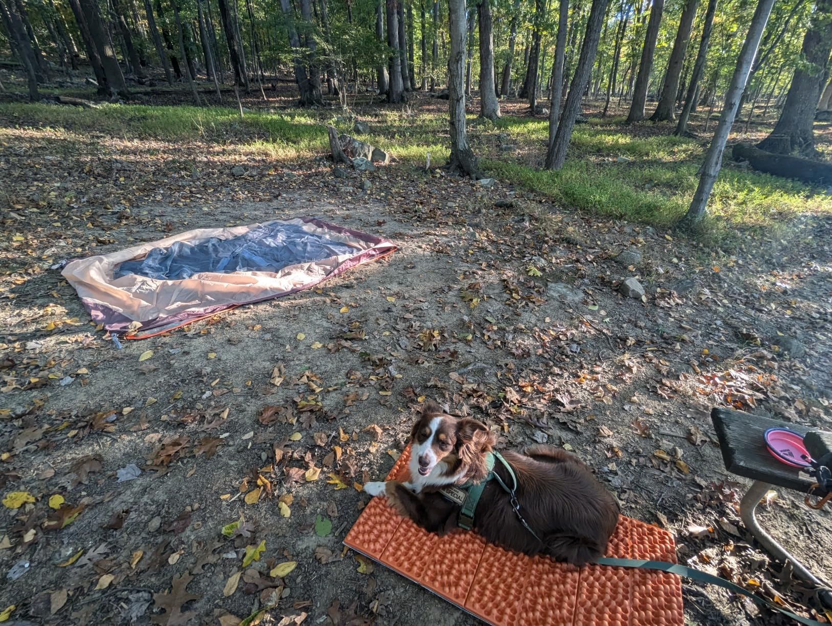 NEMO Equipment Switchback Foam Sleeping Pad customer photo 2
