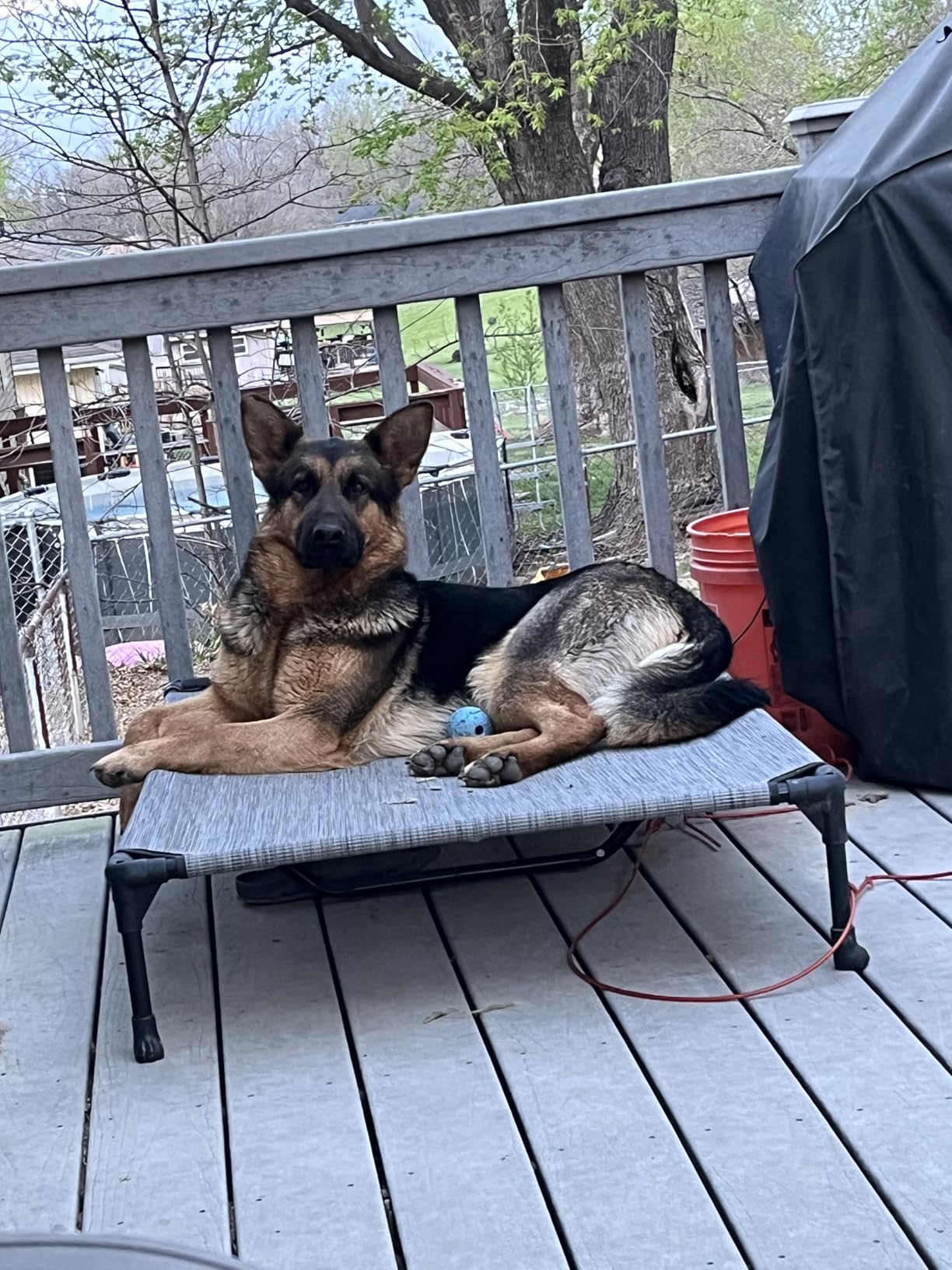 Veehoo Outdoor Elevated Dog Bed Large Sized Dogs, Large Cooling Raised Dog Cots Beds Training Platform Off Ground Hammock with Breathable Mesh, No-Slip Feet, 42