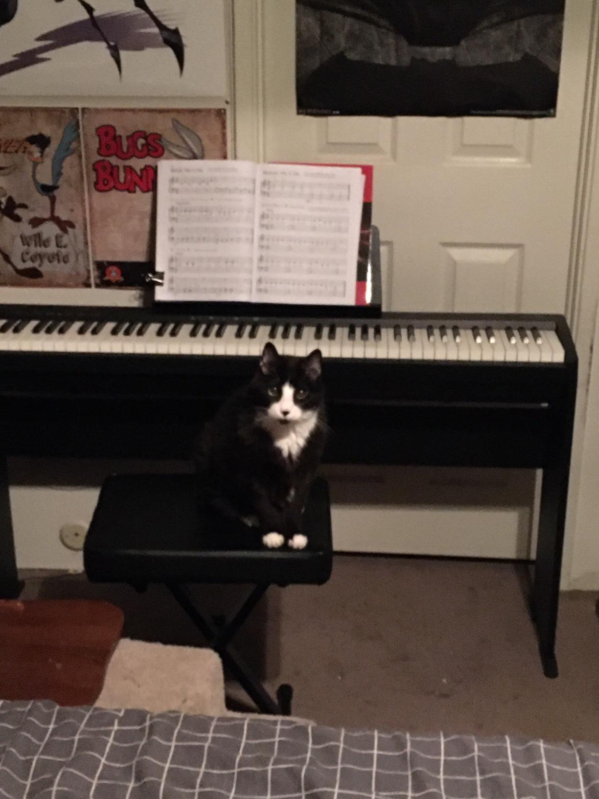 Roland FP-10 | Compact 88-Note Digital Piano | SuperNATURAL Piano Tones | Authentic Acoustic Feel Keyboard | Great for Beginners & Experienced Players | Bluetooth & MIDI Connectivity customer photo 1