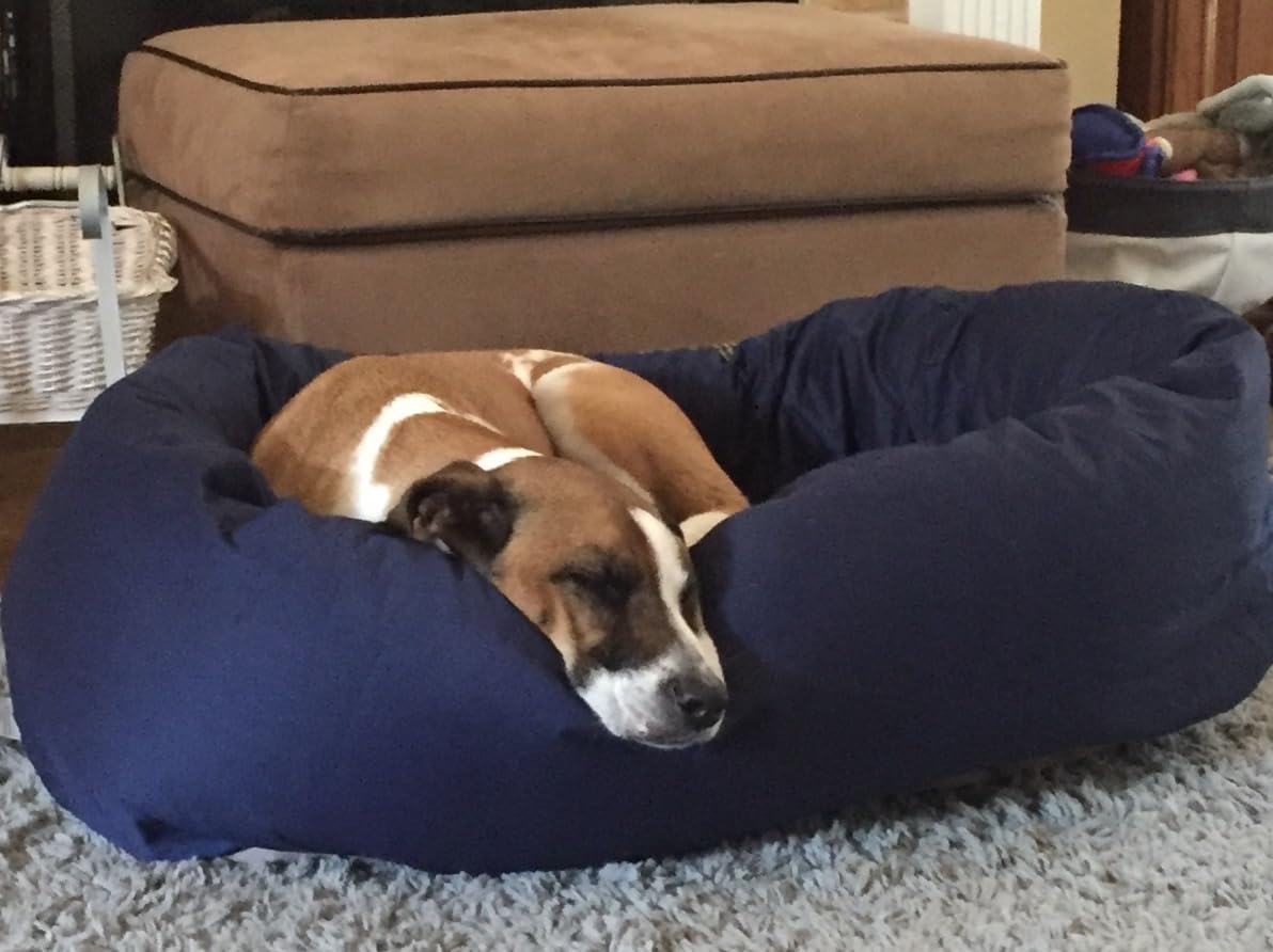 Majestic Pet Dog Bagel Calming Bed, 40x29x9in, Soft Round Pet Bed with Spine Support, Fluffy Donut Dog Bed, Large, Gray customer photo 1