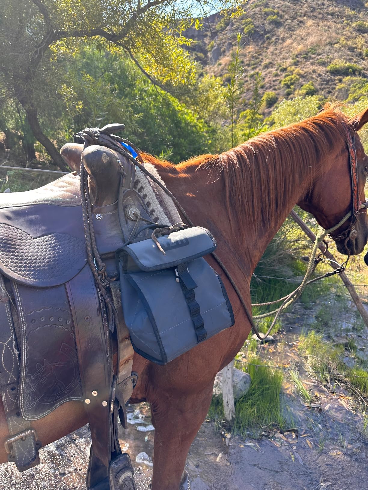YETI Daytrip Packable Lunch Bag, Charcoal customer photo 2