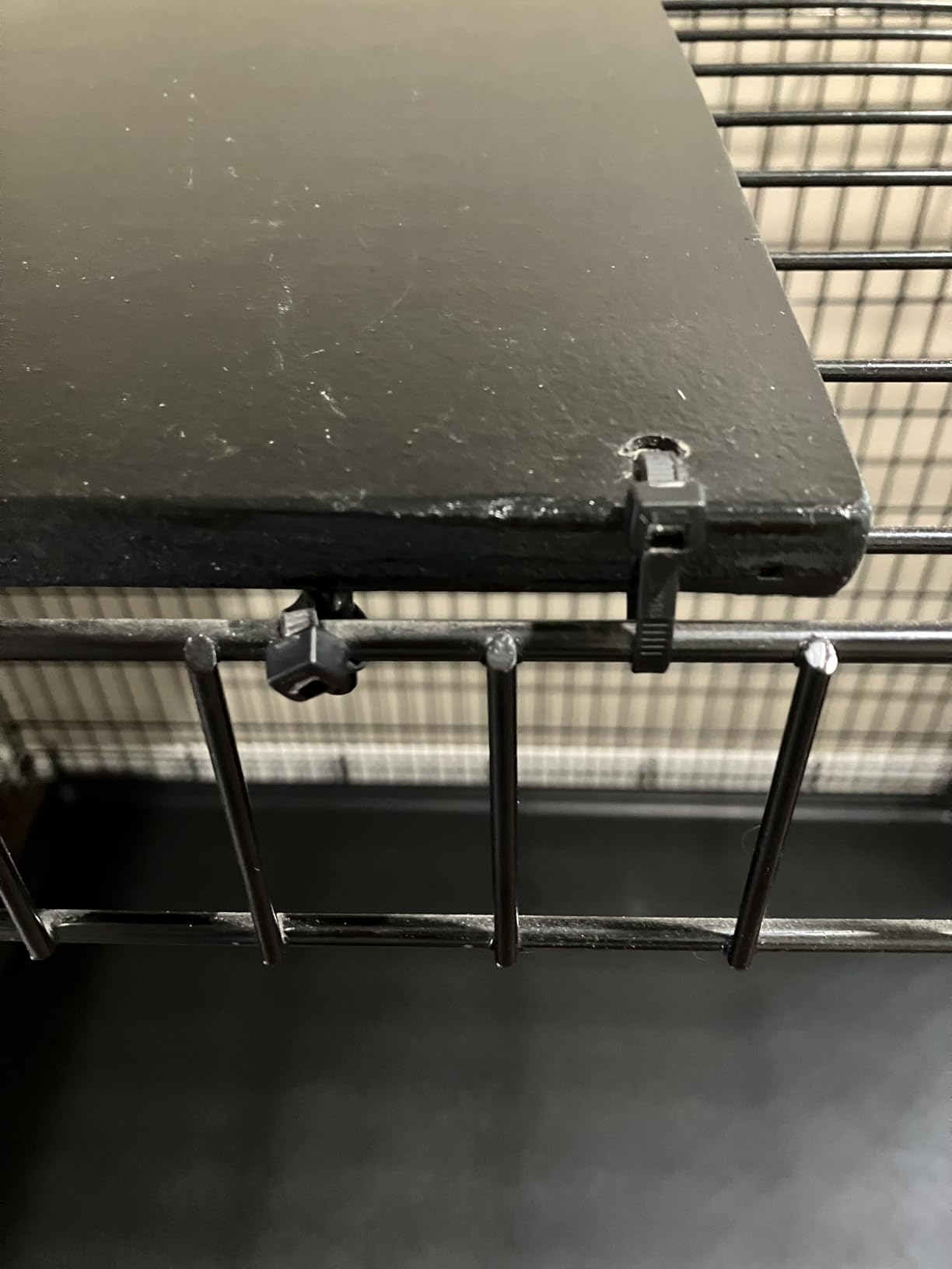 Solutions by MidWest Homes for Pets 54-Inch Drop Pin Crate for Giant Breeds Over 100 lbs, Single Door Dog Crate with Leak-Proof Tray & Secure Latches, Durable Drop Pin Construction customer photo 1