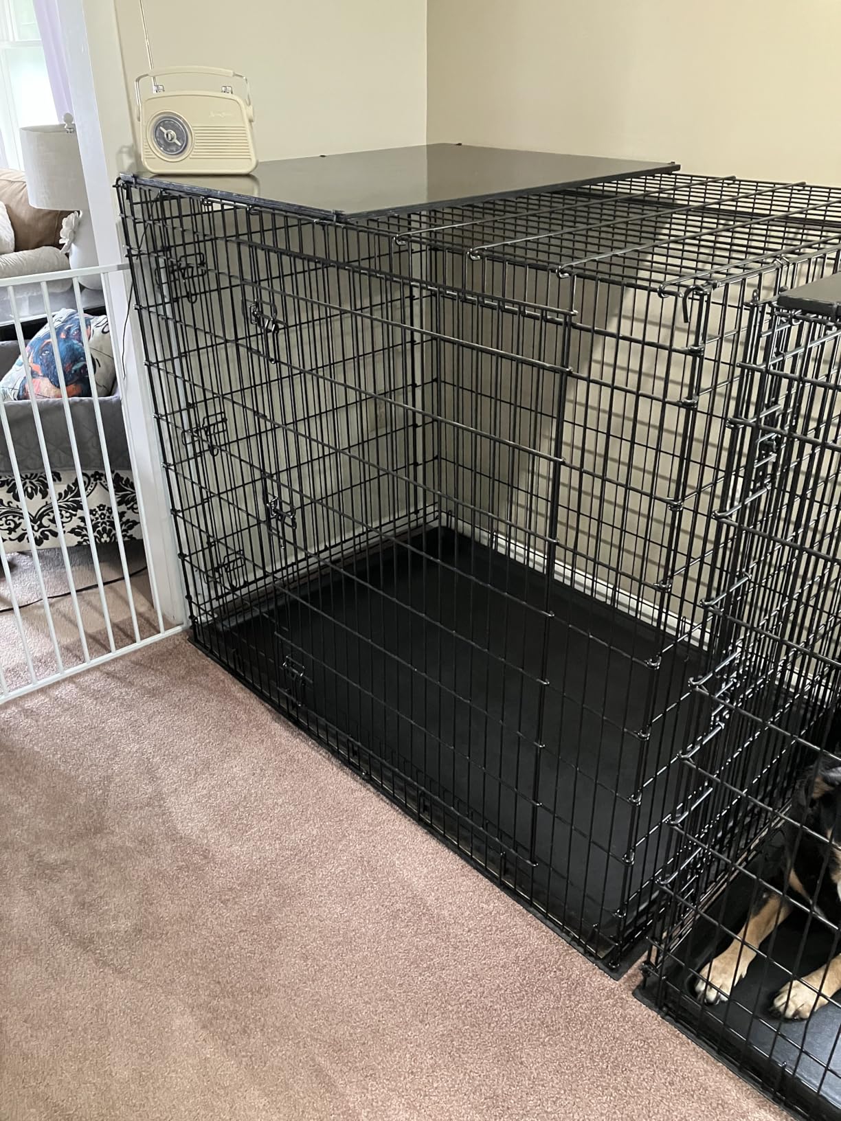 Solutions by MidWest Homes for Pets 54-Inch Drop Pin Crate for Giant Breeds Over 100 lbs, Single Door Dog Crate with Leak-Proof Tray & Secure Latches, Durable Drop Pin Construction customer photo 2