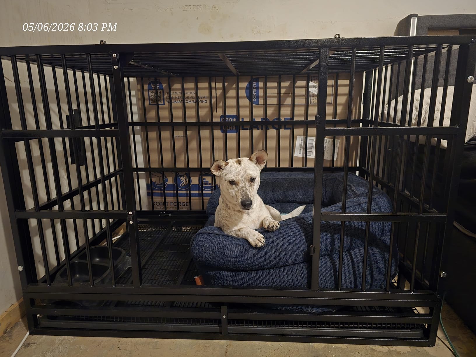 LEMBERI 48 Inch Heavy Duty Indestructible Dog Crate, Escape Proof Double Door Dog Kennel with Lockable Wheels, High Anxiety Extra Large Dog Cage Indoor Use, with Removable Tray customer photo 1