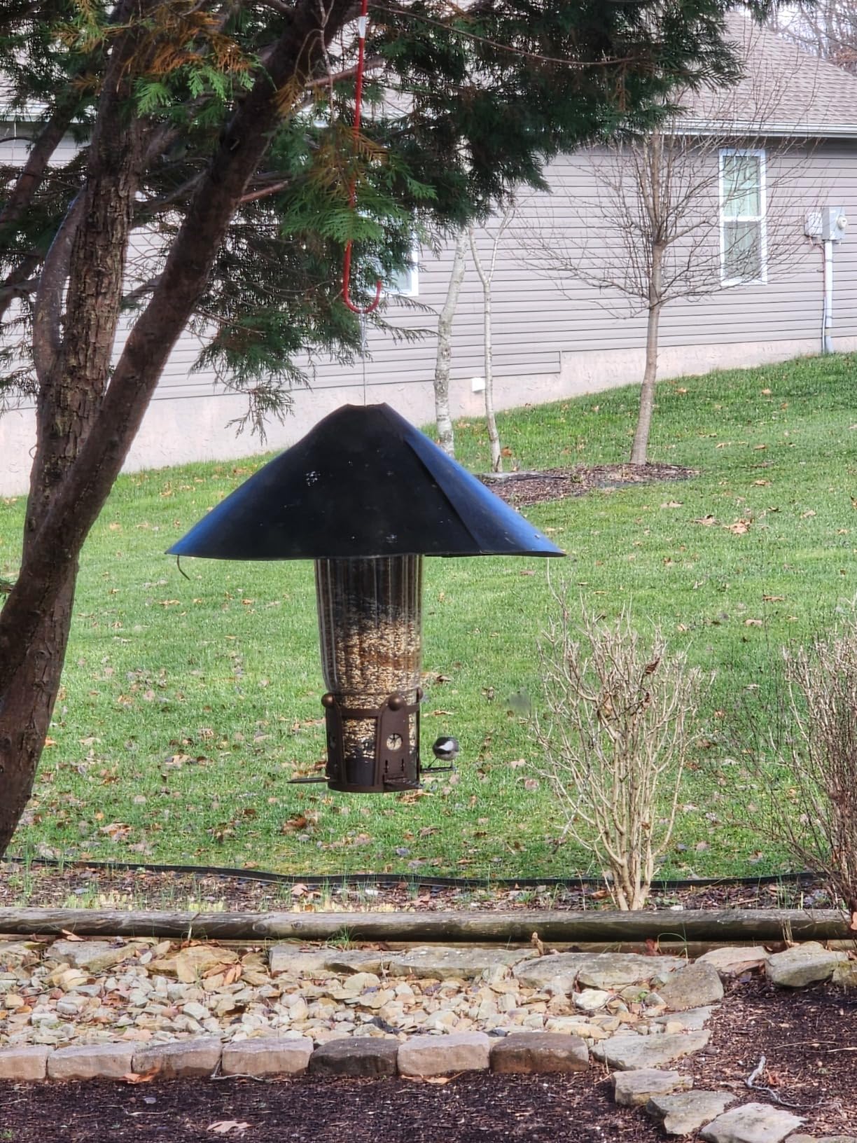 Perky-Pet Squirrel-Be-Gone Max Bird Feeder with (4) Flexport Feeding Stations - Squirrel-Proof Metal Hanging Feeder for Outdoors, Weight-Activated Ladder-Style Perches, 4lb Seed Capacity, 334-1SR customer photo 1