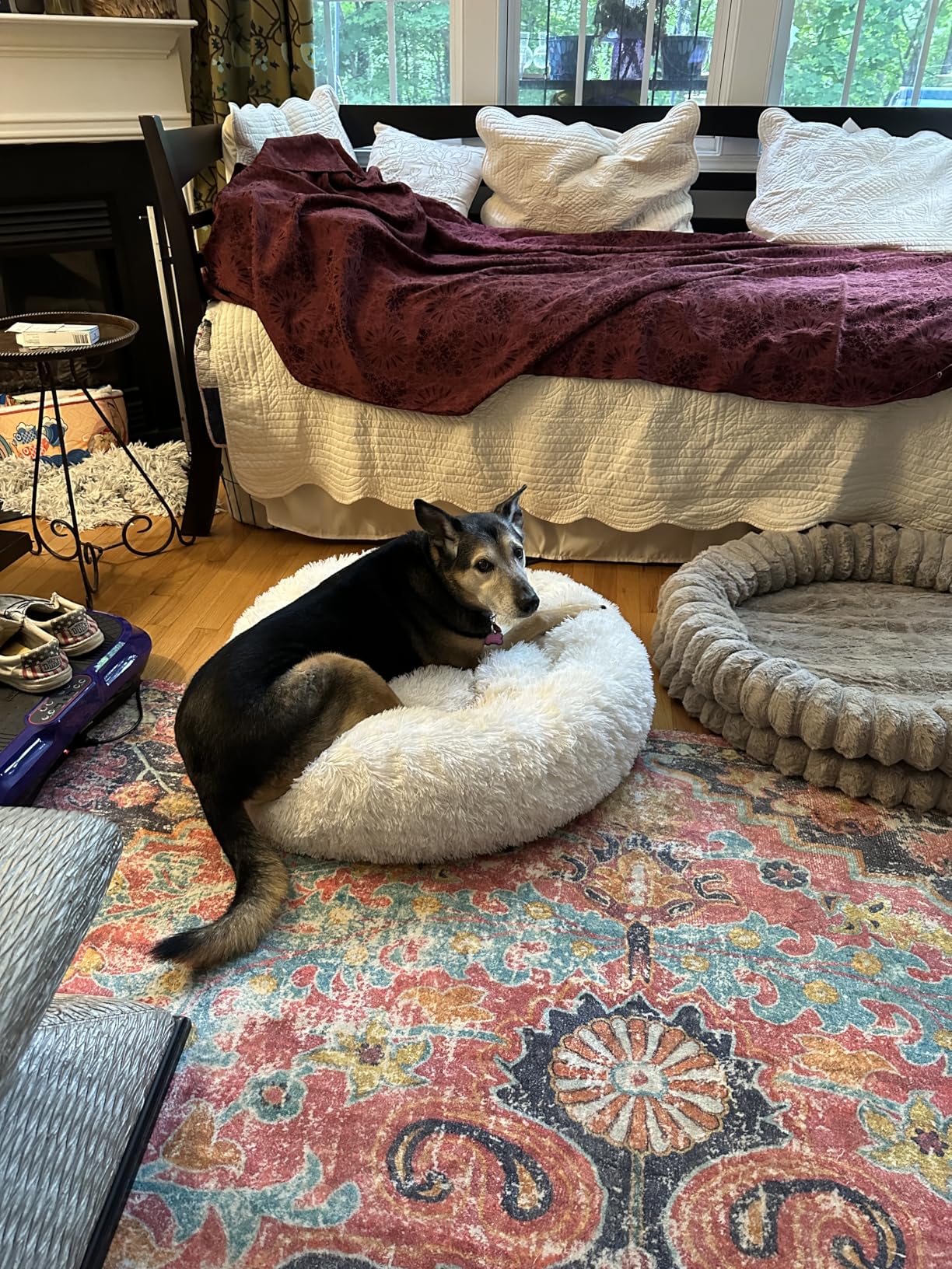 HACHIKITTY Calming Donut Cuddler Dog Bed, Round Fluffy Pet Bed with Sewn-in Cushion for Large Dogs, Washable, Taupe, XLarge 36