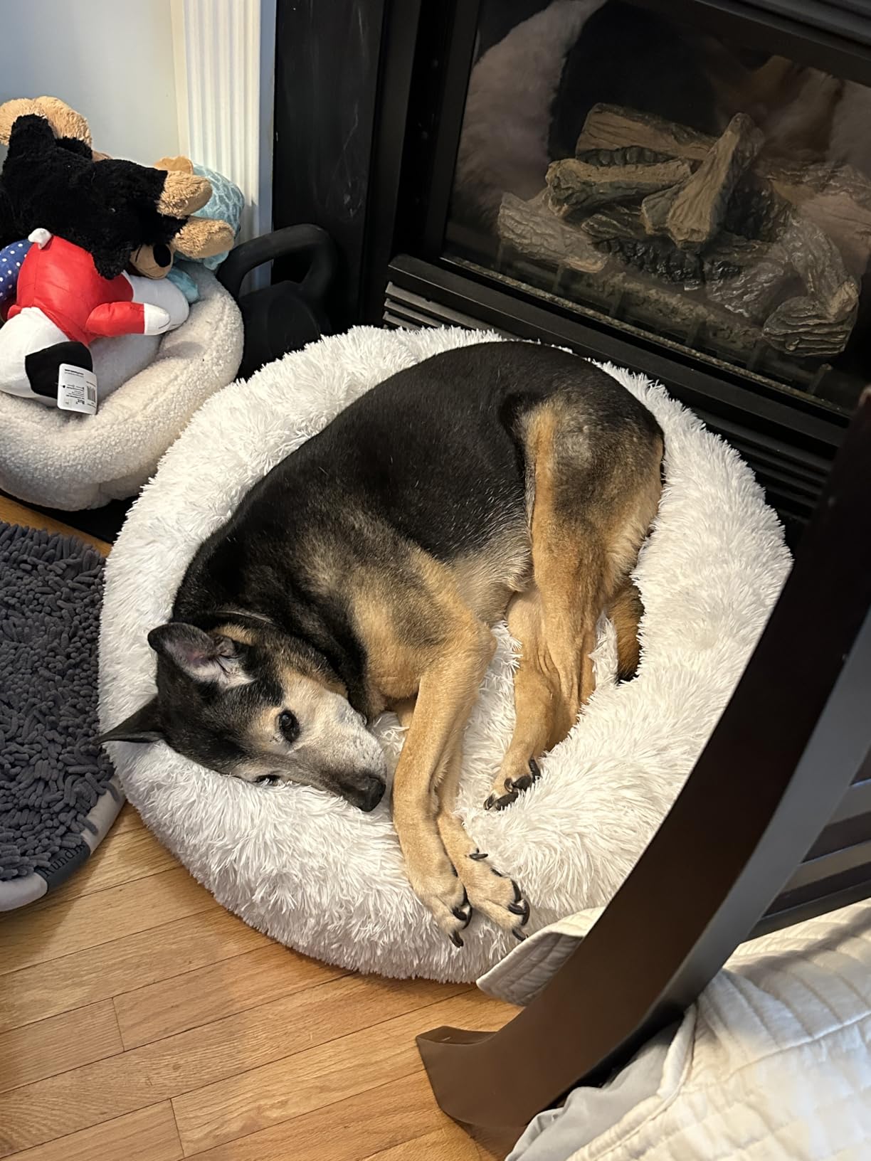 HACHIKITTY Calming Donut Cuddler Dog Bed, Round Fluffy Pet Bed with Sewn-in Cushion for Large Dogs, Washable, Taupe, XLarge 36
