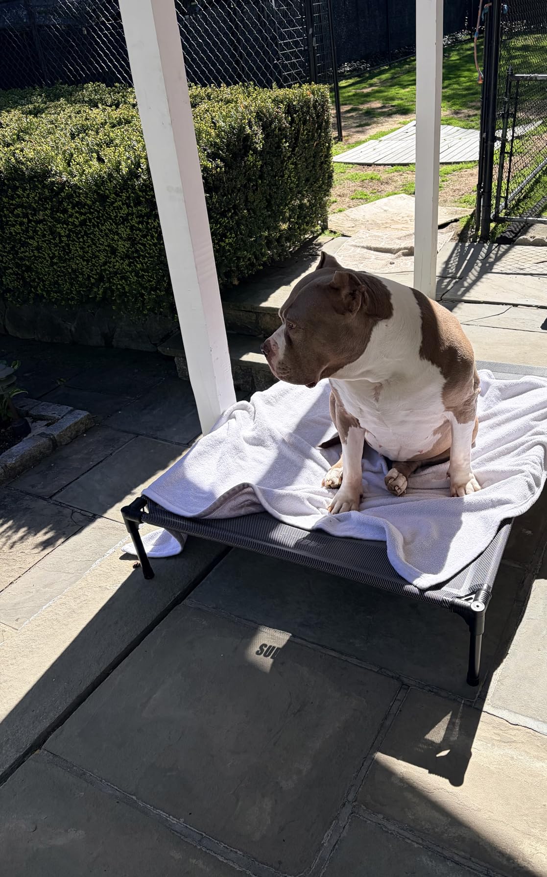 Suddus Elevated Dog Bed for Large Dogs 140lb, Breathable Cooling Raised Dog Cot with Dual Support Bars & Metal Frame, No-Slip Feet, Waterproof Pet Bed for Indoor/Outdoor, X-Large, 48 * 36 * 9in, Grey customer photo 2