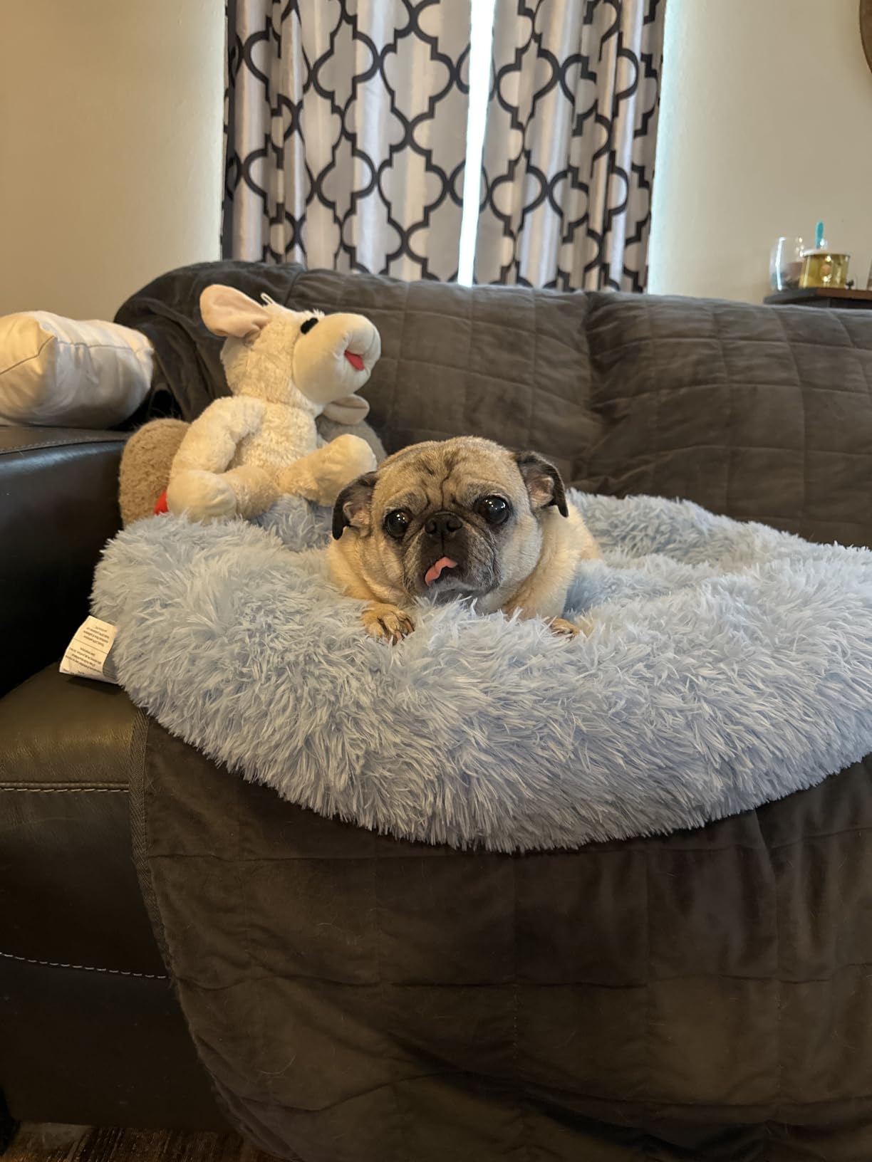 WESTERN HOME WH Calming Dog Bed & Cat Bed, Anti-Anxiety Donut Dog Cuddler Bed, Warming Cozy Soft Dog Round Bed, Fluffy Faux Fur Plush Dog Cat Cushion Bed for Small Medium Dogs and Cats customer photo 2